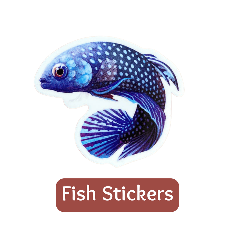 Pile of Betta Fish Stickers, by Betta Botanicals, for Betta Tank, Betta Aquarium, Nature Aquarium. 