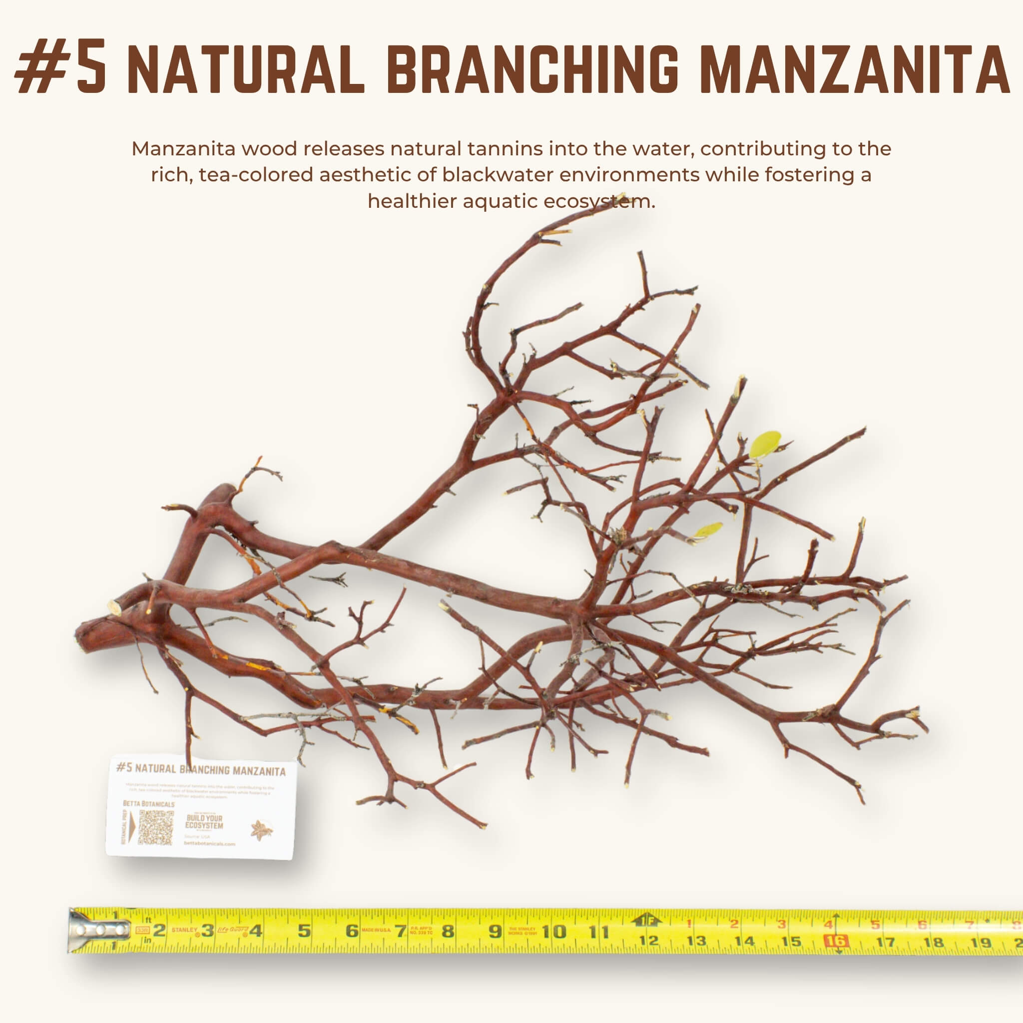 Natural Branching Manzanita | WYSIWYG Pieces