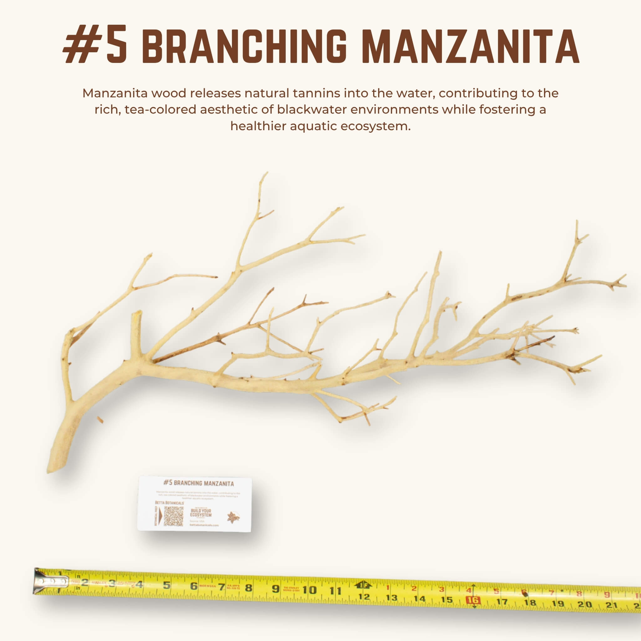 Branching Manzanita | WYSIWYG Pieces