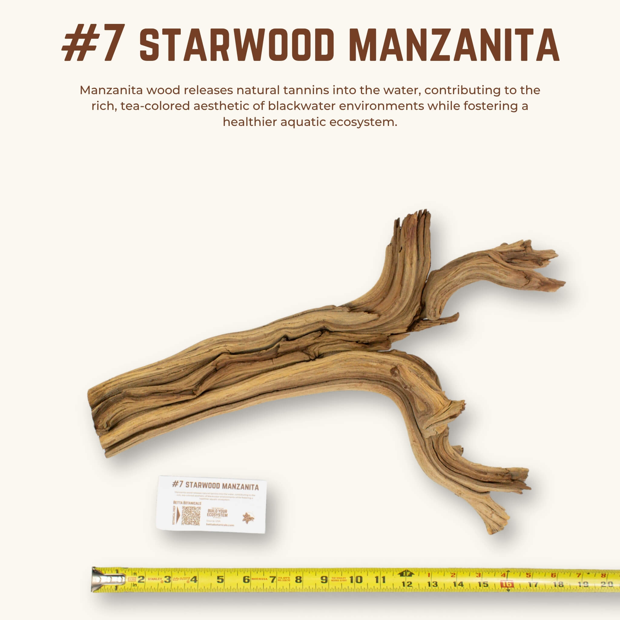 Starwood Manzanita | WYSIWYG Pieces