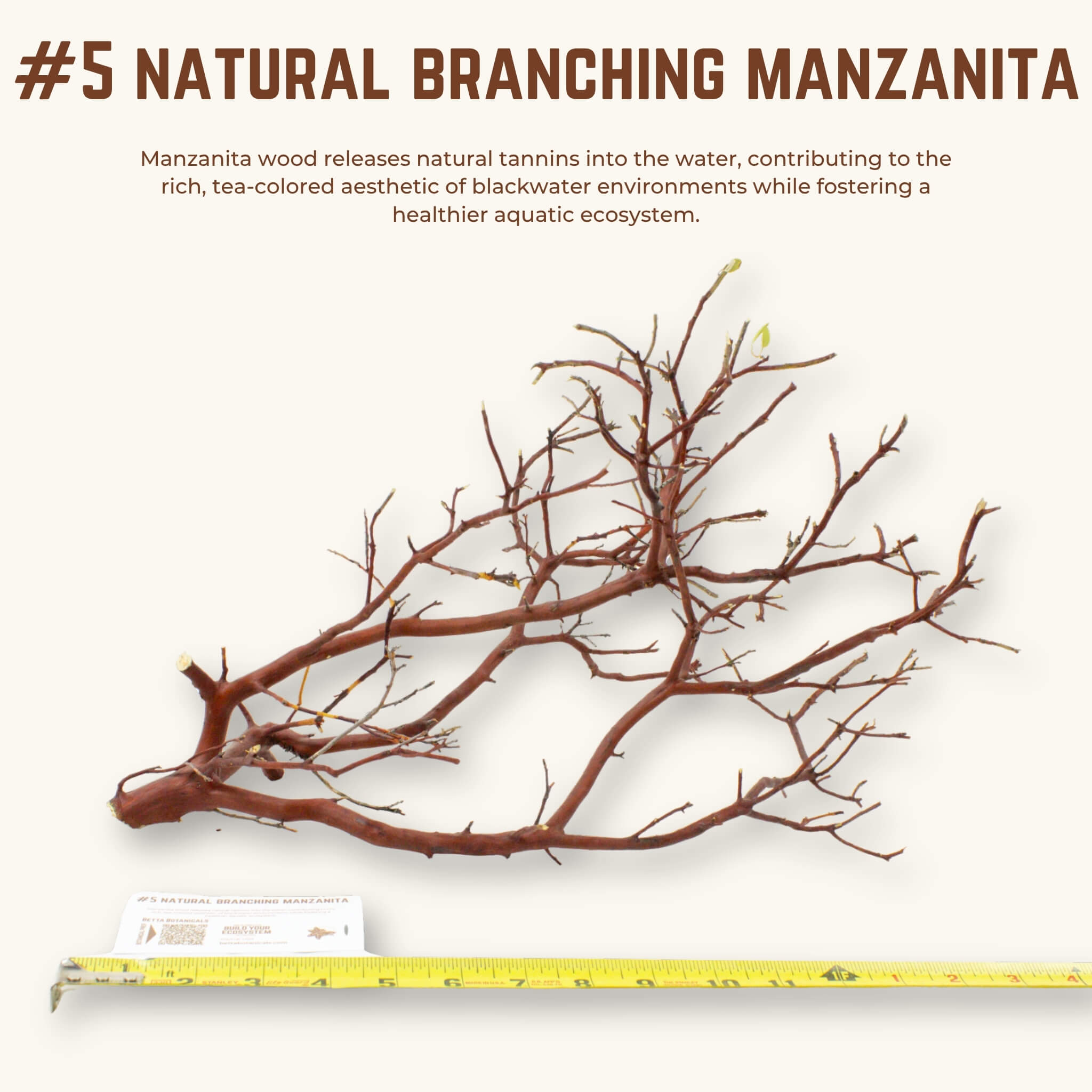 Natural Branching Manzanita | WYSIWYG Pieces