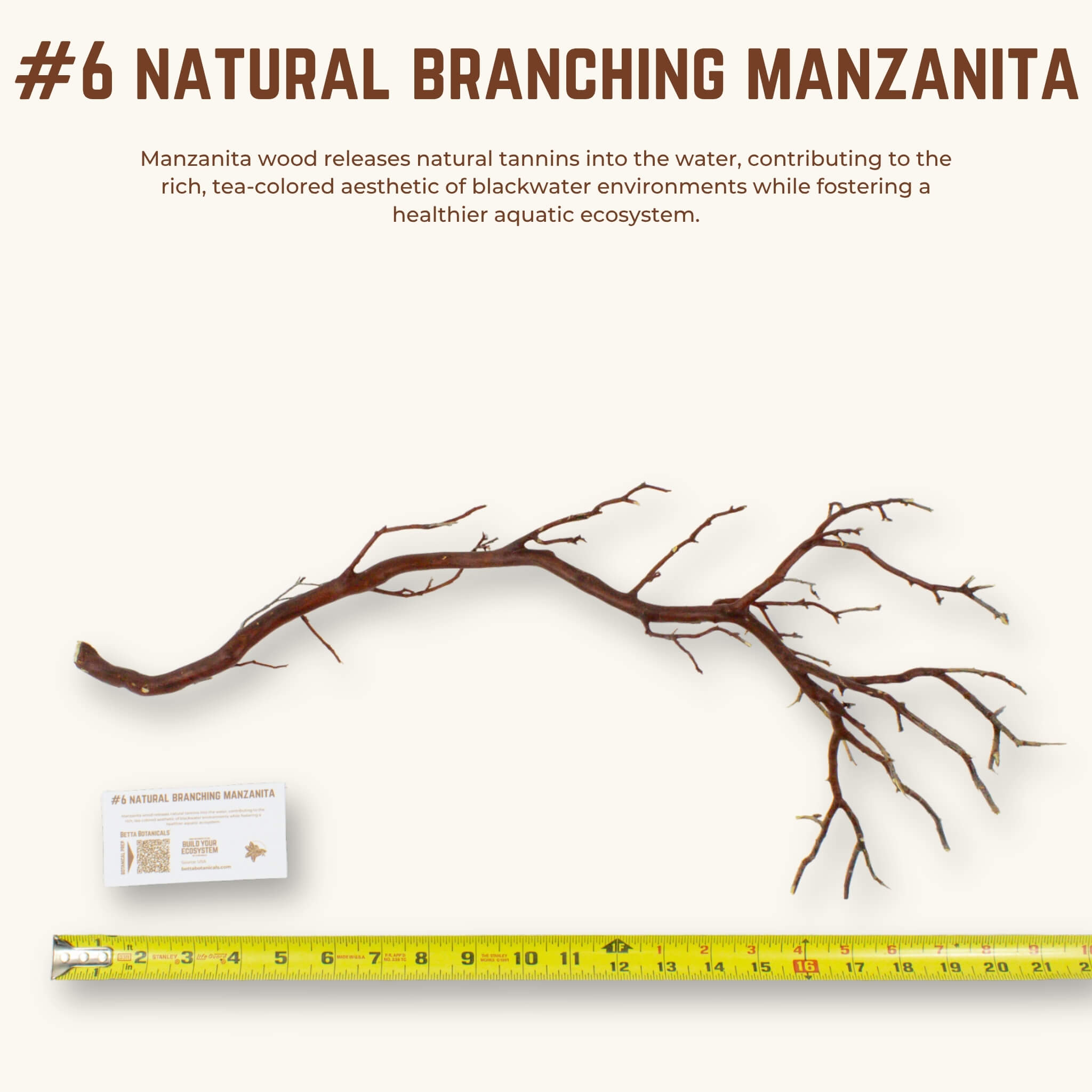 Natural Branching Manzanita | WYSIWYG Pieces