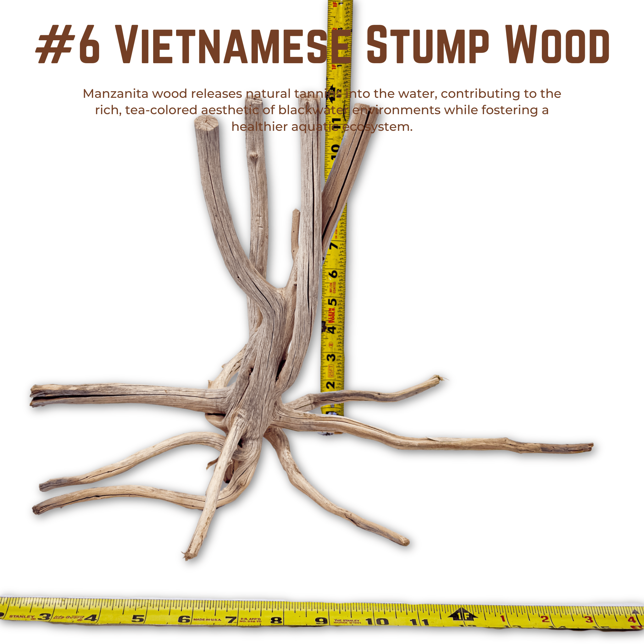 Vietnamese Stump Wood | WYSIWYG Pieces