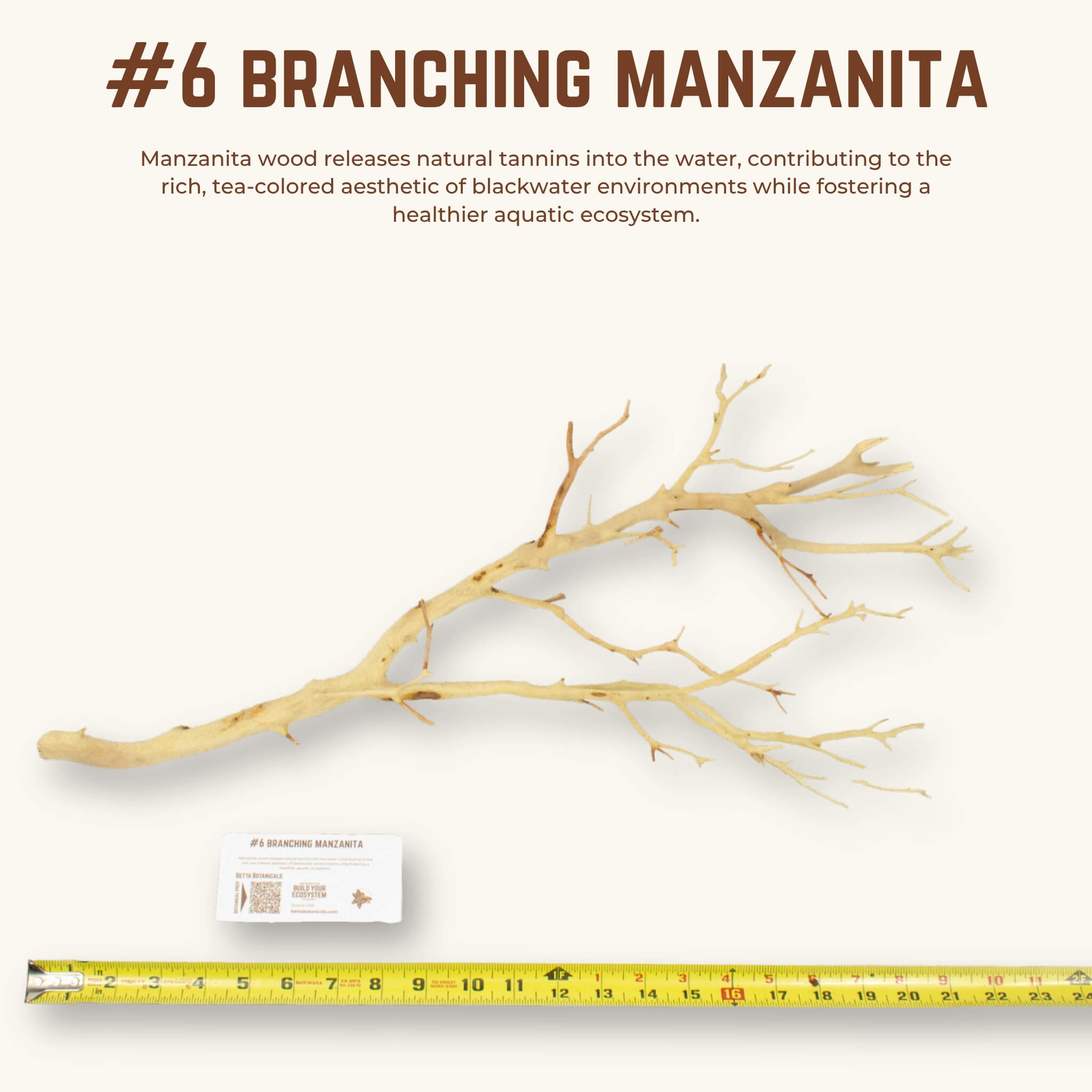 Branching Manzanita | WYSIWYG Pieces