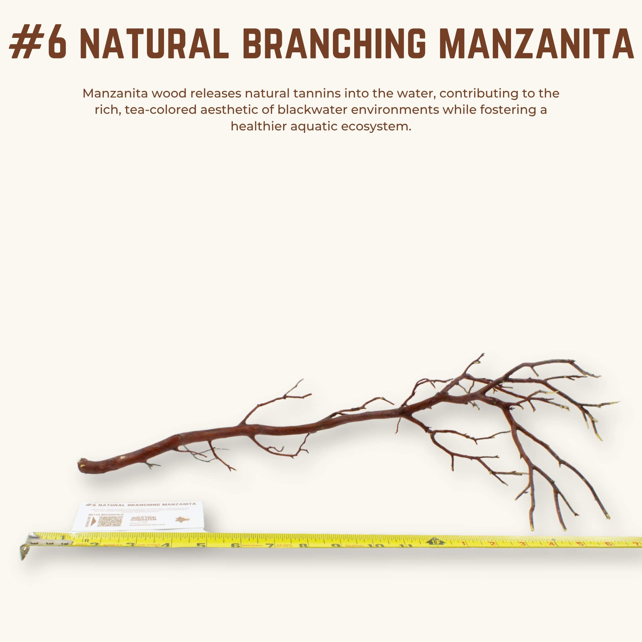 Natural Branching Manzanita | WYSIWYG Pieces
