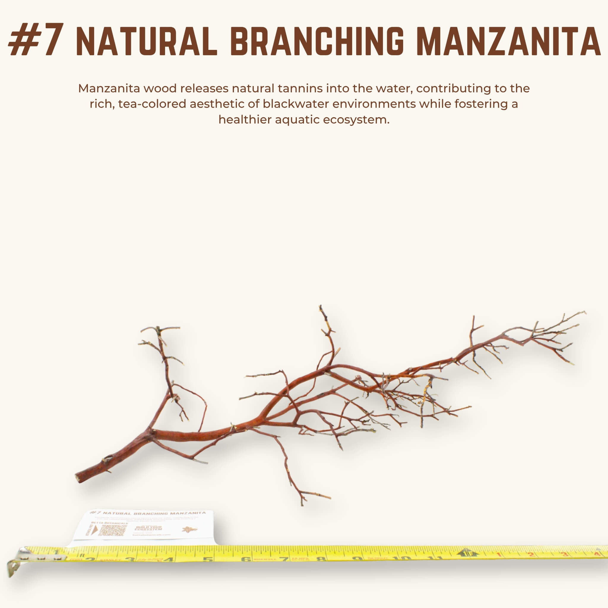 Natural Branching Manzanita | WYSIWYG Pieces