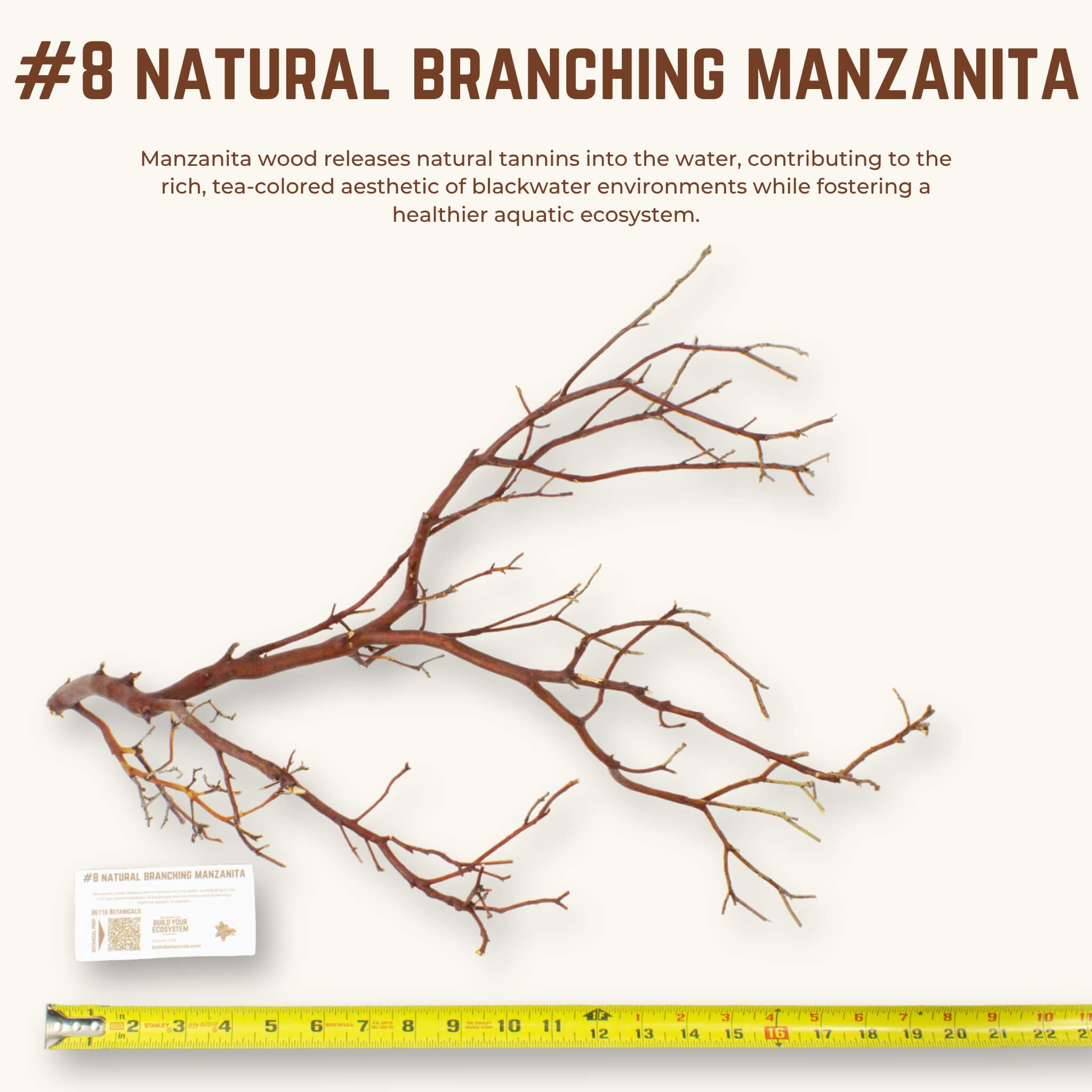 Natural Branching Manzanita | WYSIWYG Pieces