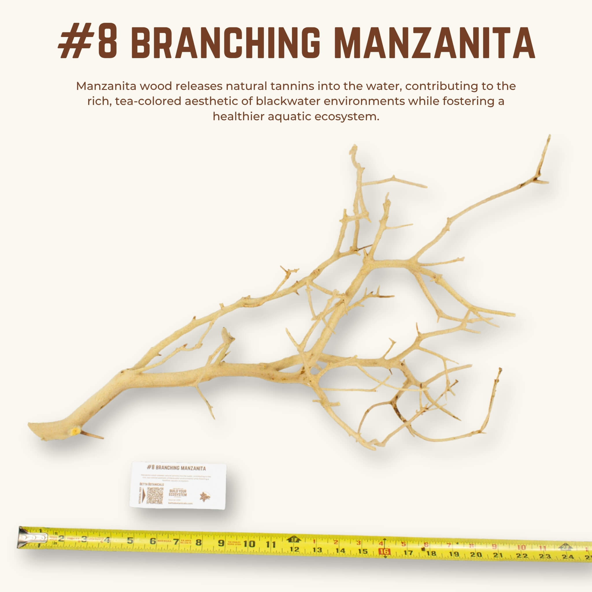 Branching Manzanita | WYSIWYG Pieces