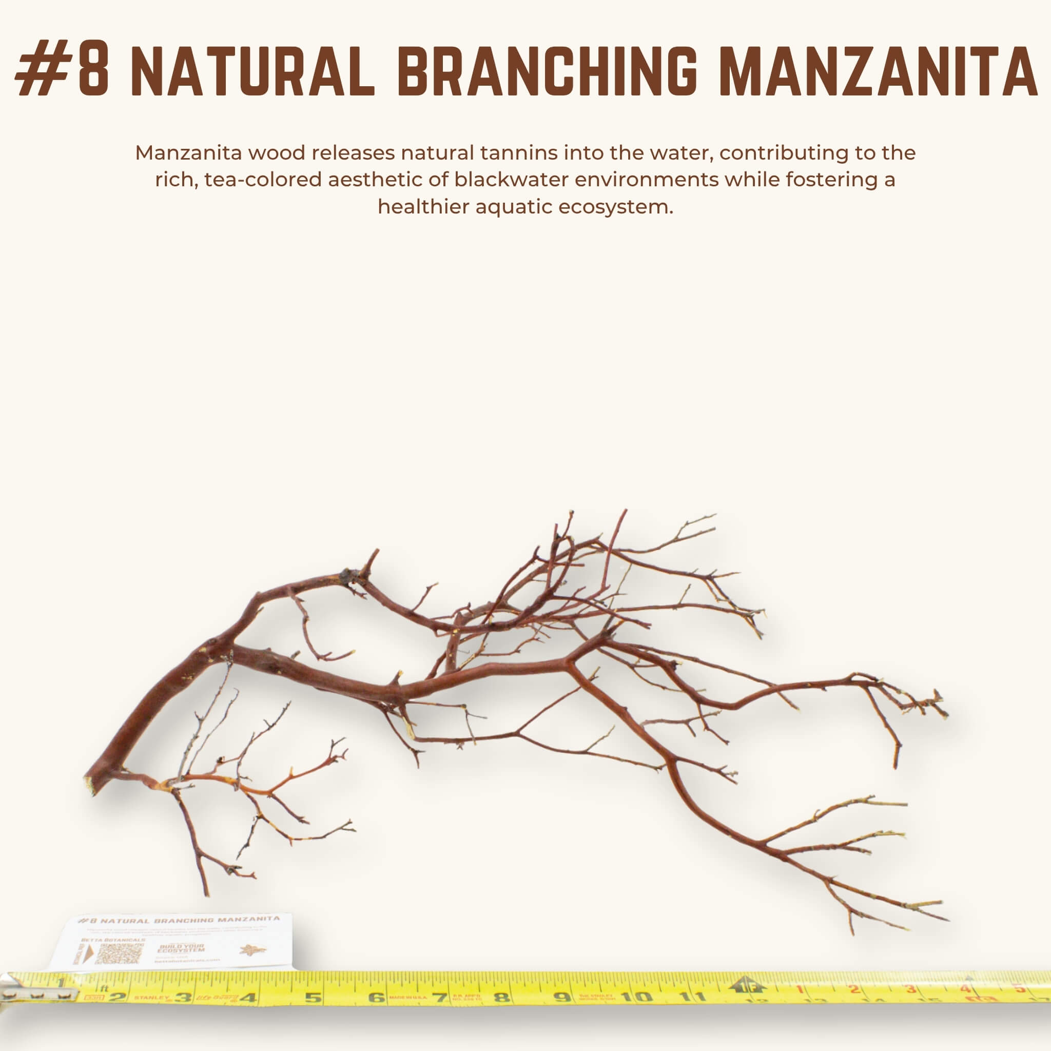 Natural Branching Manzanita | WYSIWYG Pieces