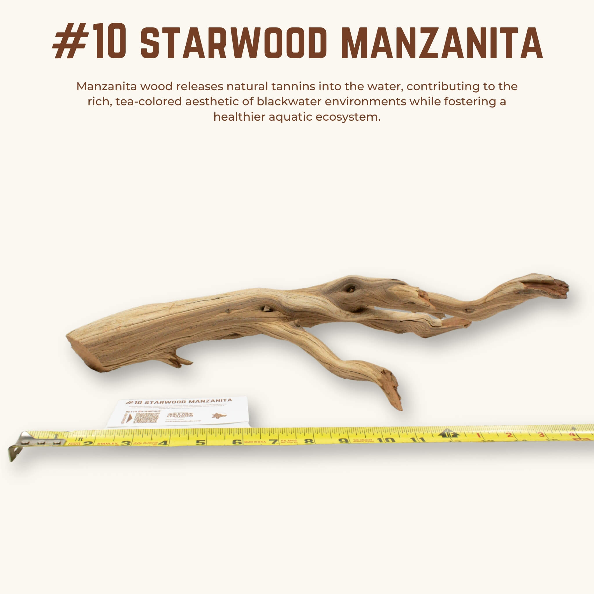 Starwood Manzanita | WYSIWYG Pieces