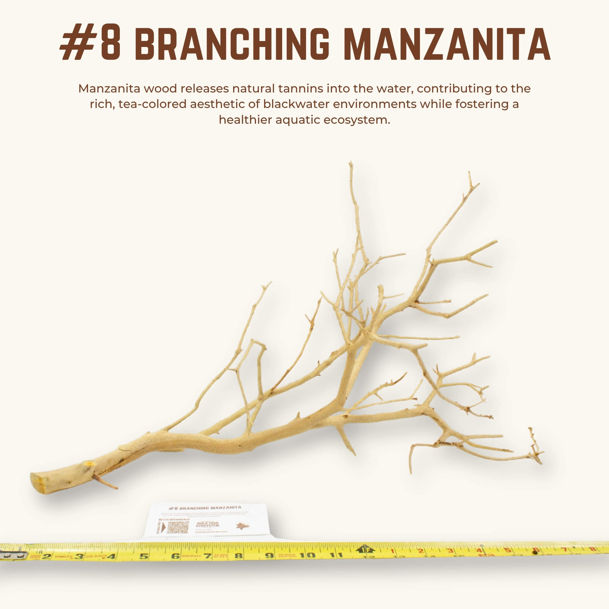 Branching Manzanita | WYSIWYG Pieces