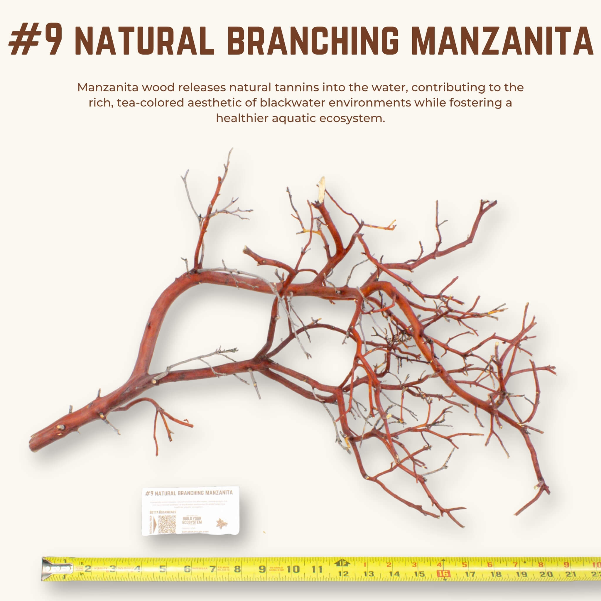 Natural Branching Manzanita | WYSIWYG Pieces