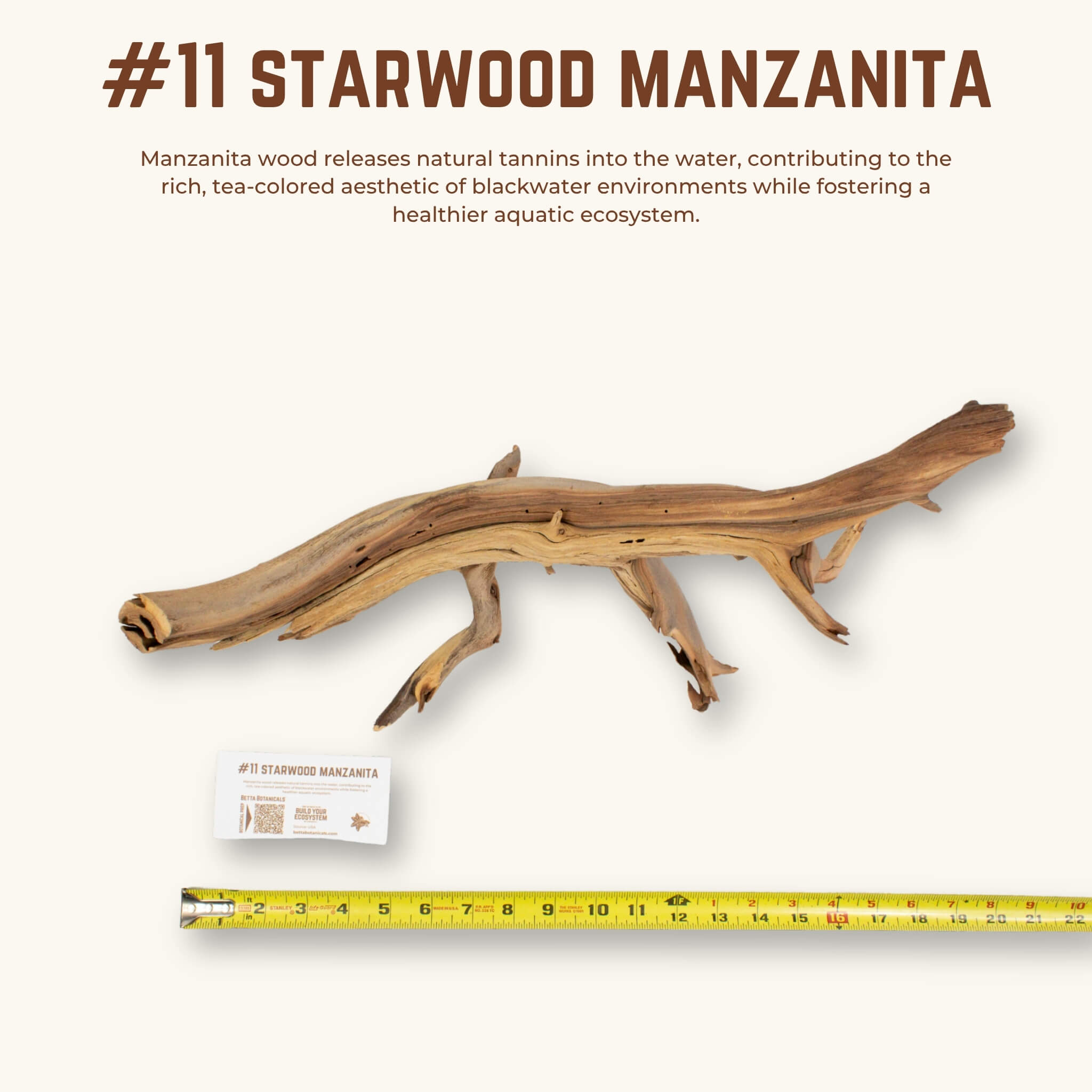 Starwood Manzanita | WYSIWYG Pieces