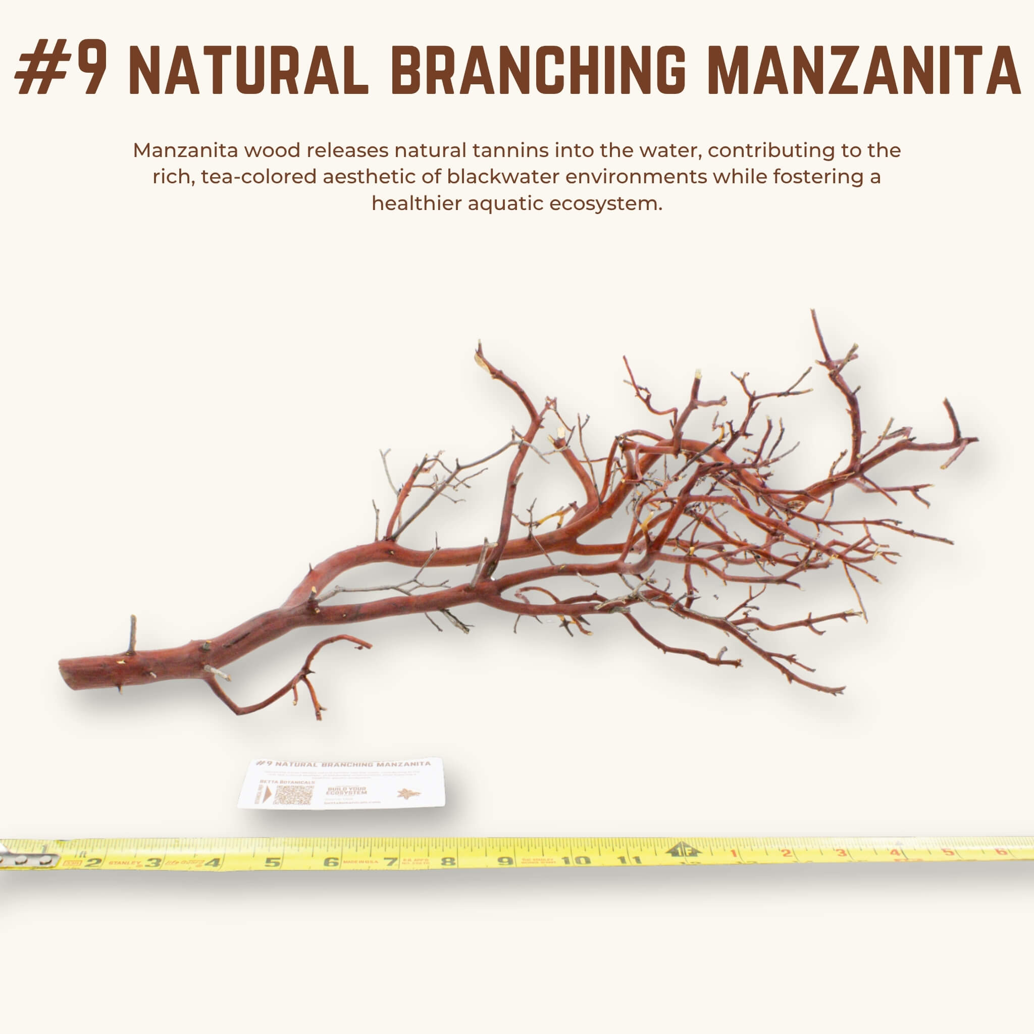 Natural Branching Manzanita | WYSIWYG Pieces