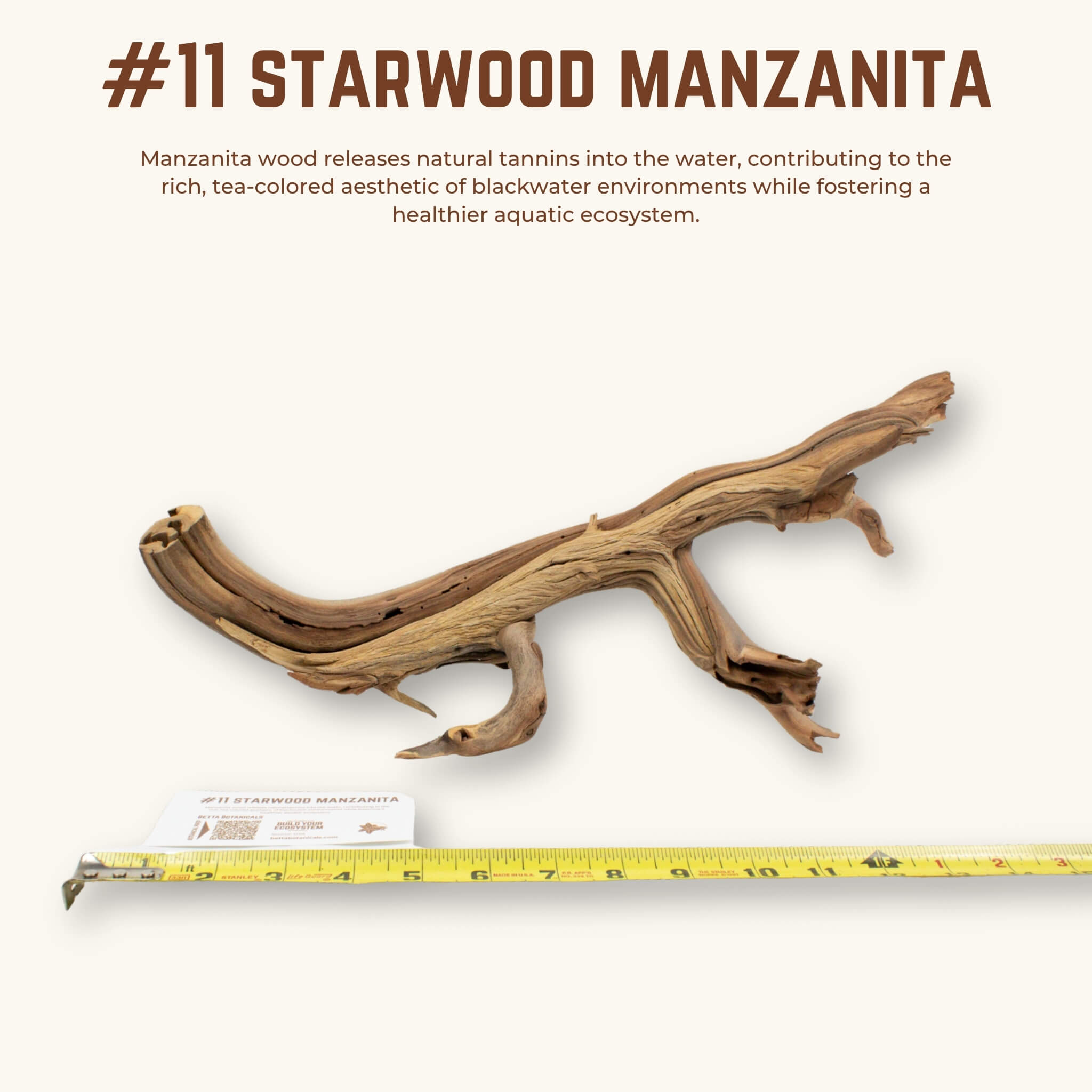 Starwood Manzanita | WYSIWYG Pieces