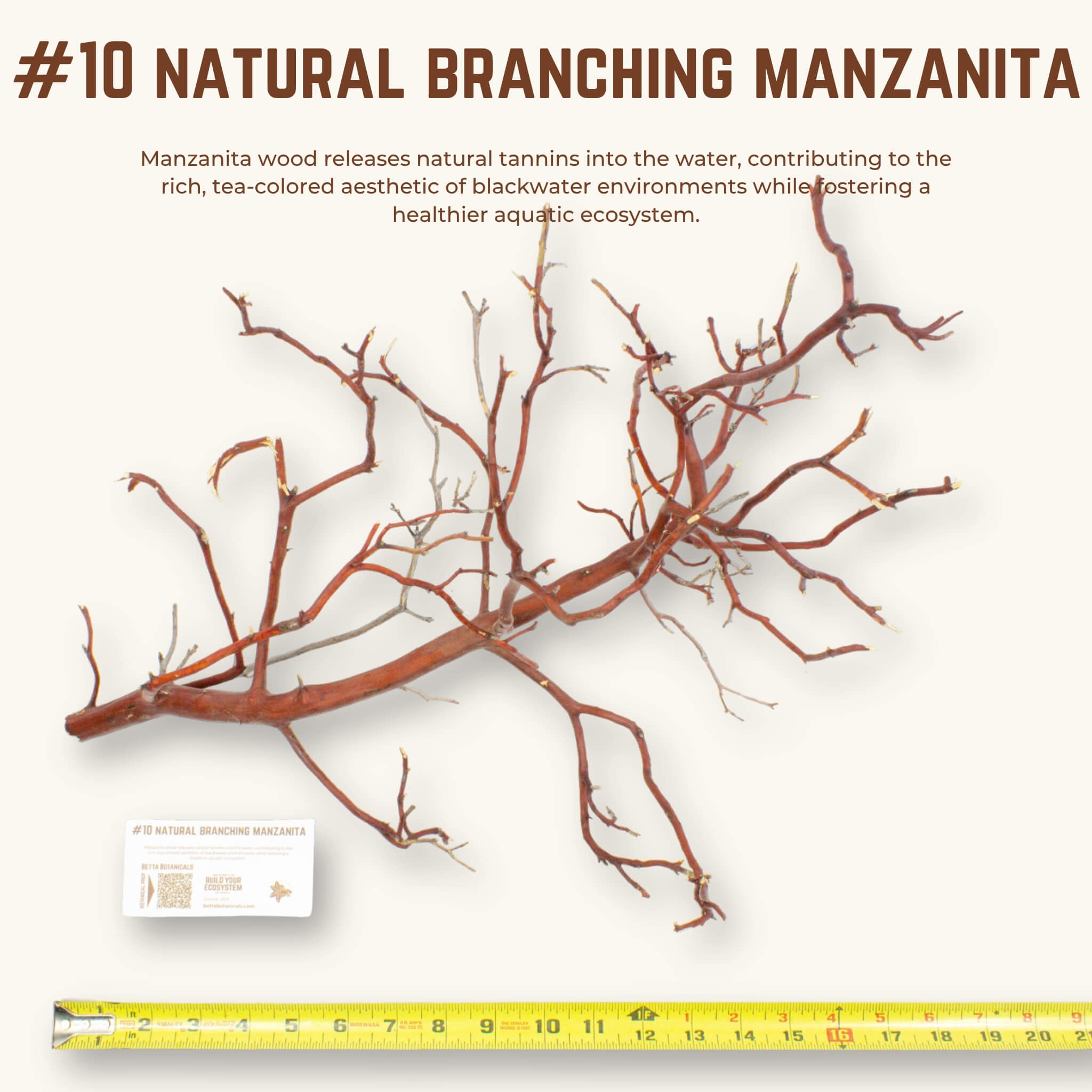 Natural Branching Manzanita | WYSIWYG Pieces