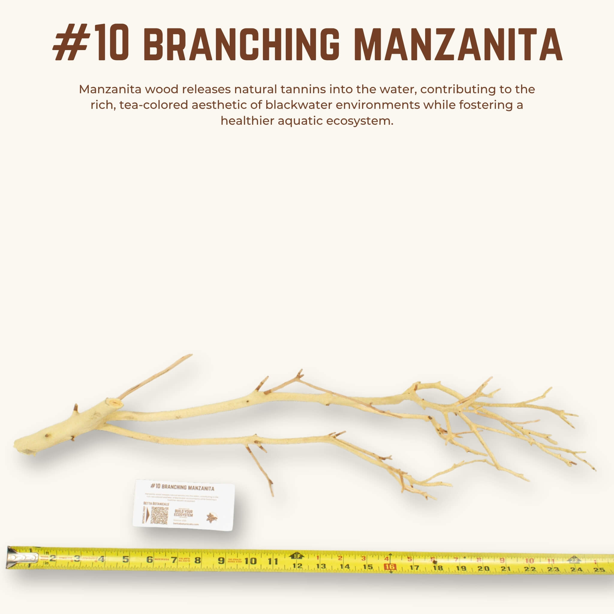 Branching Manzanita | WYSIWYG Pieces