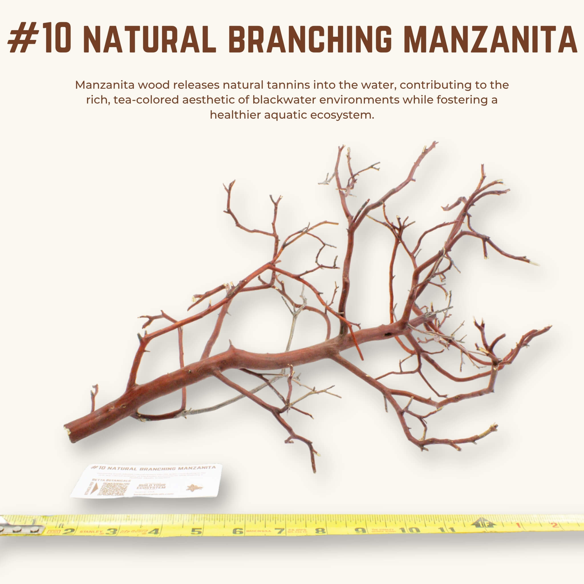 Natural Branching Manzanita | WYSIWYG Pieces