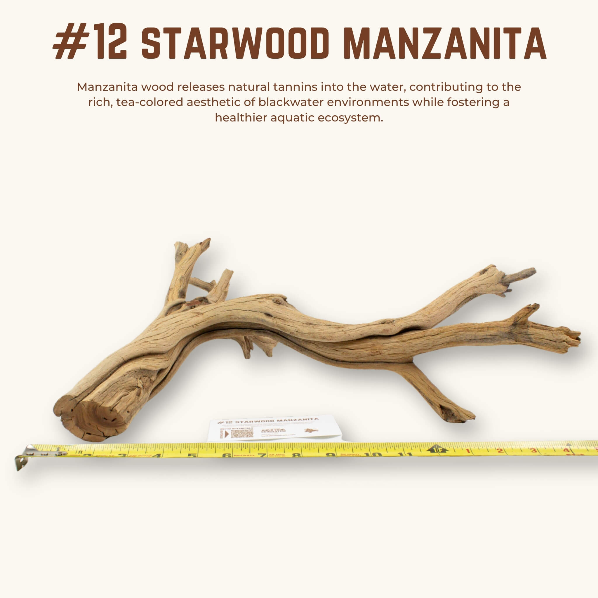 Starwood Manzanita | WYSIWYG Pieces