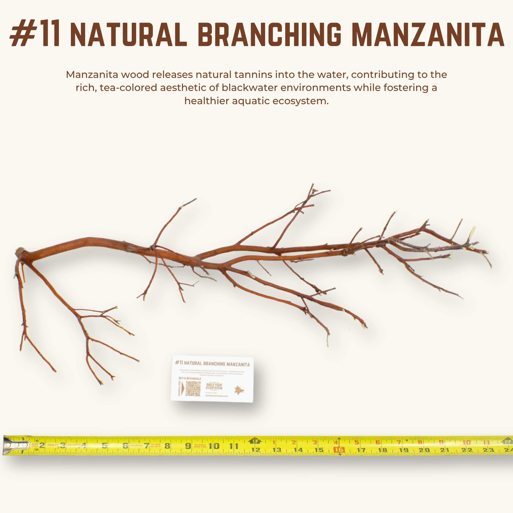Natural Branching Manzanita | WYSIWYG Pieces