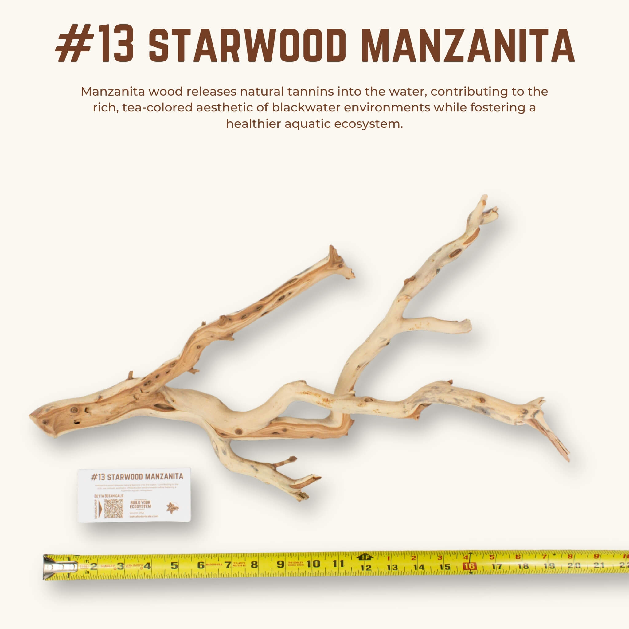 Starwood Manzanita | WYSIWYG Pieces
