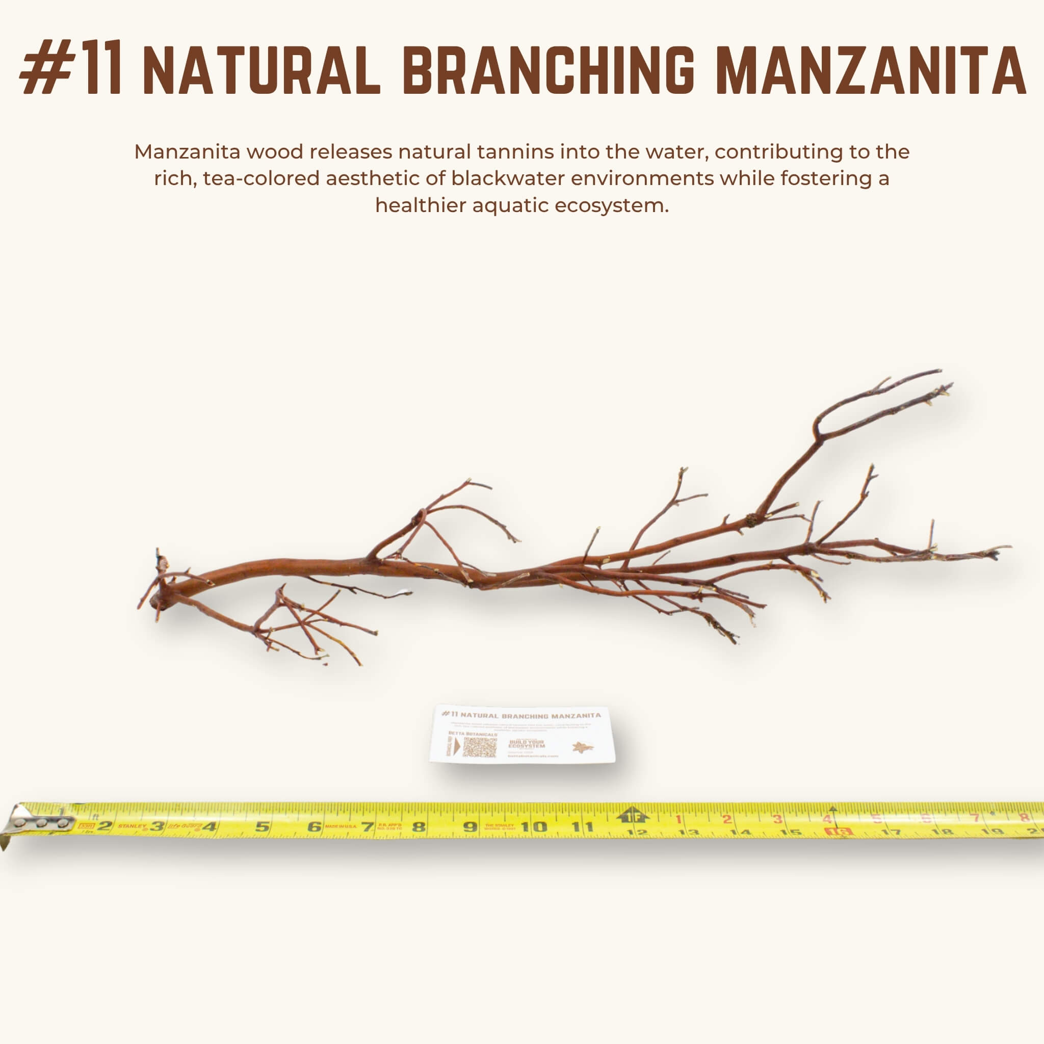 Natural Branching Manzanita | WYSIWYG Pieces
