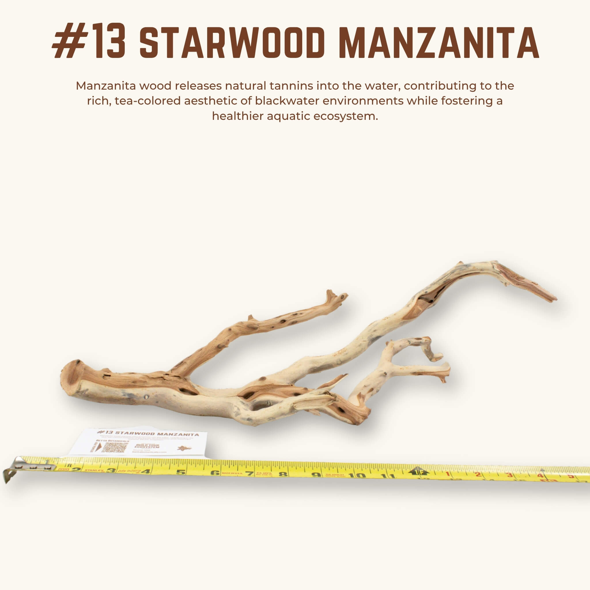Starwood Manzanita | WYSIWYG Pieces