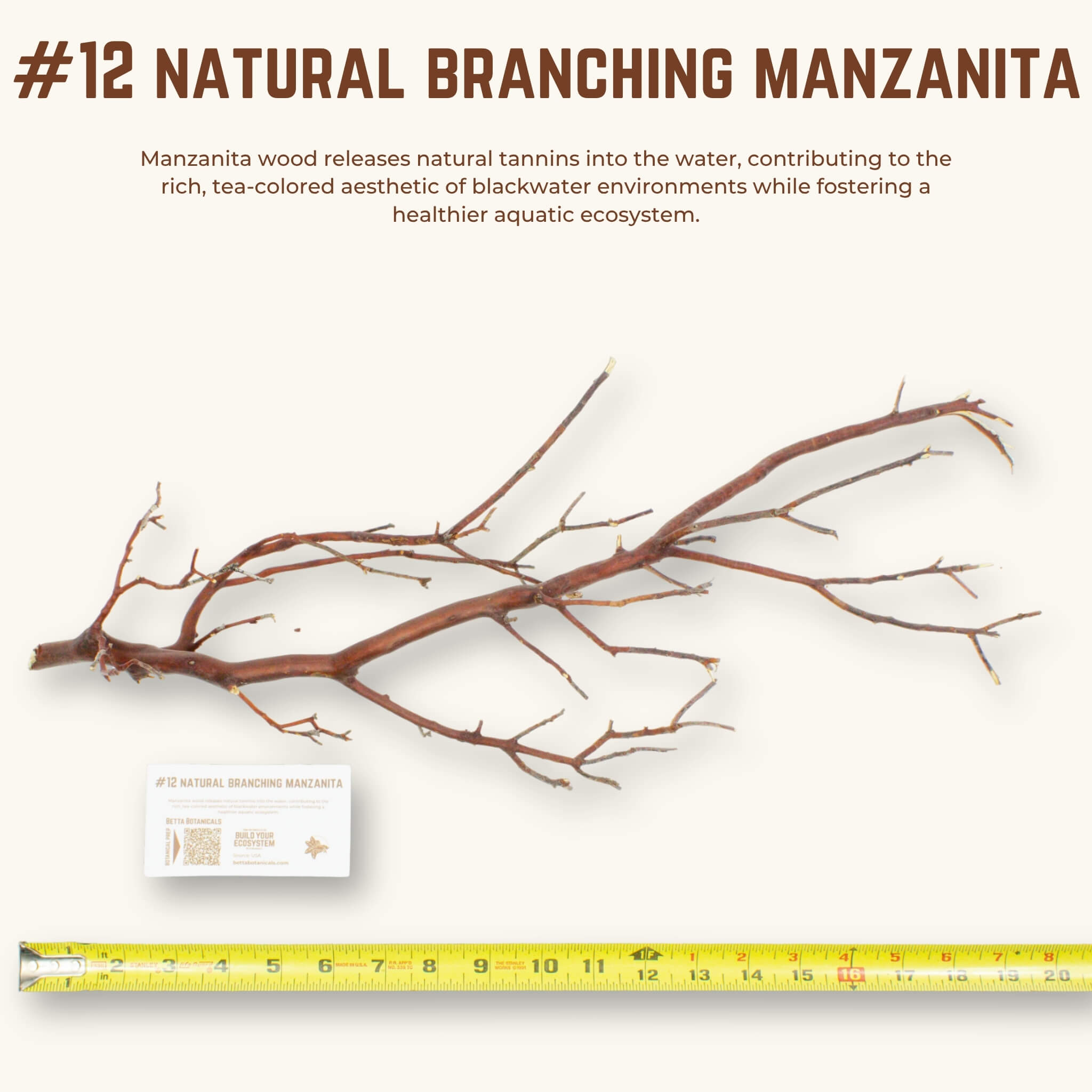 Natural Branching Manzanita | WYSIWYG Pieces