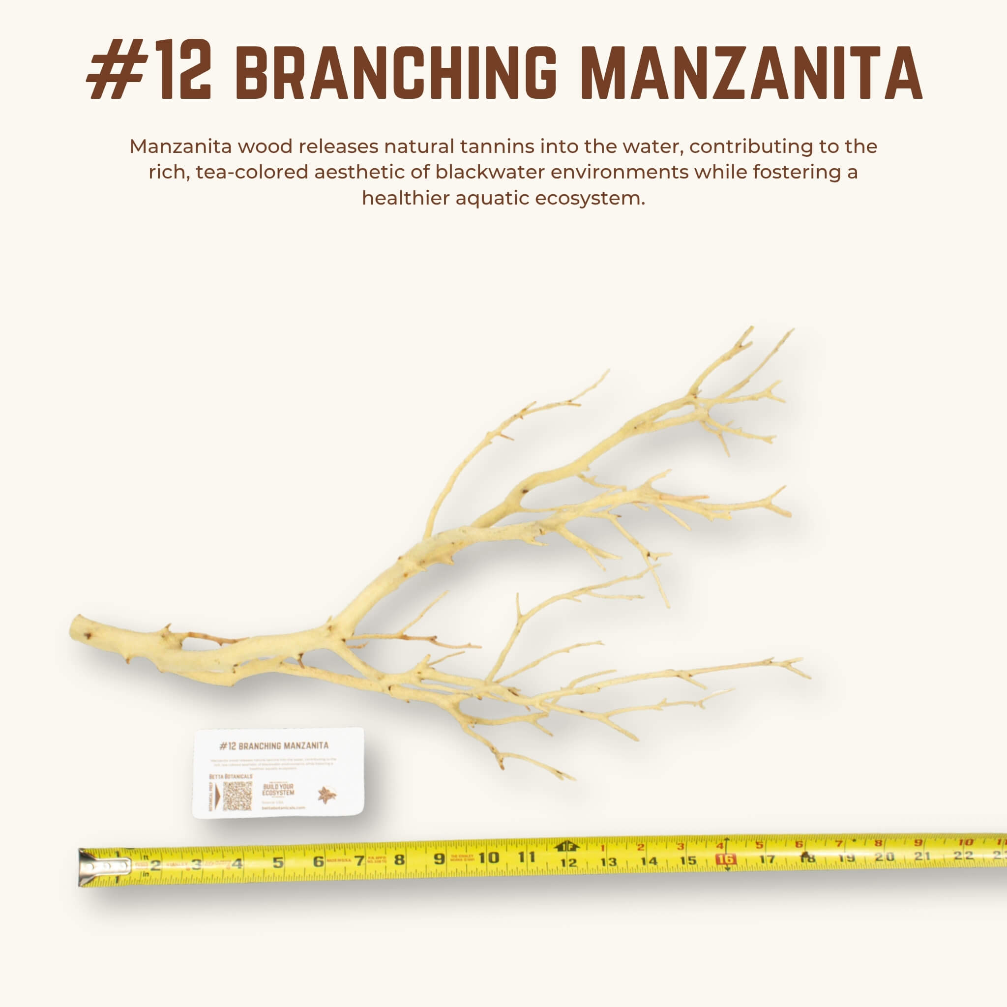 Branching Manzanita | WYSIWYG Pieces