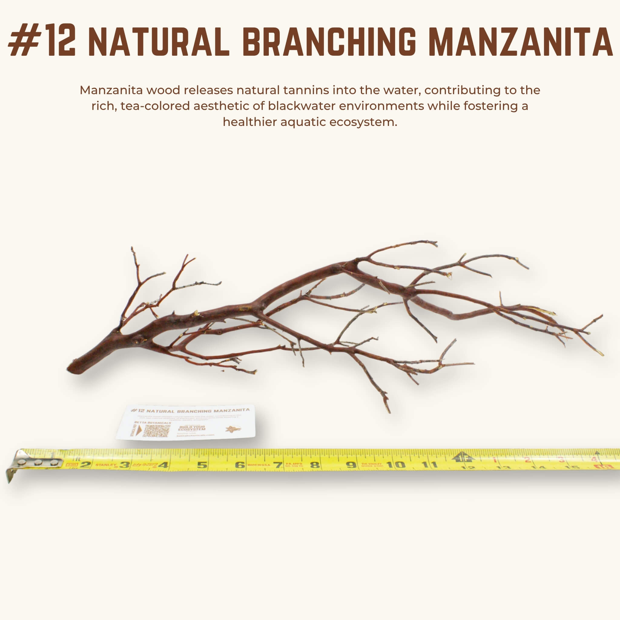 Natural Branching Manzanita | WYSIWYG Pieces