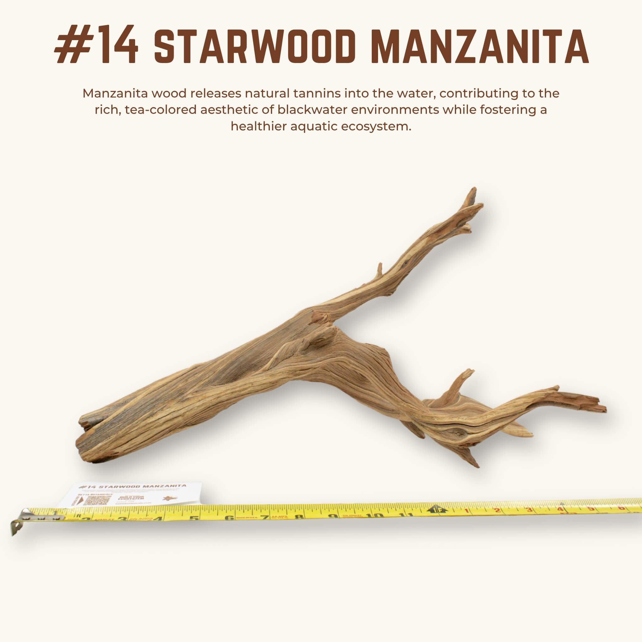 Starwood Manzanita | WYSIWYG Pieces