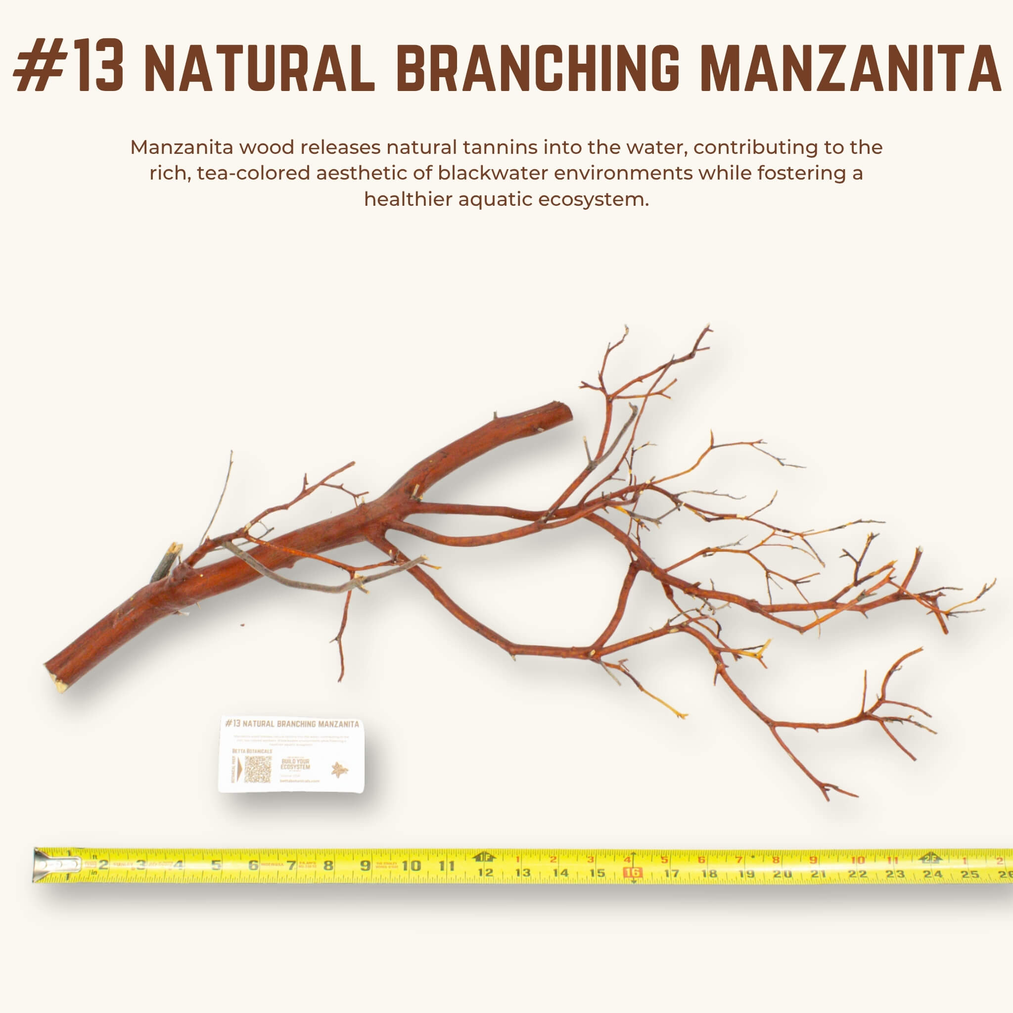 Natural Branching Manzanita | WYSIWYG Pieces