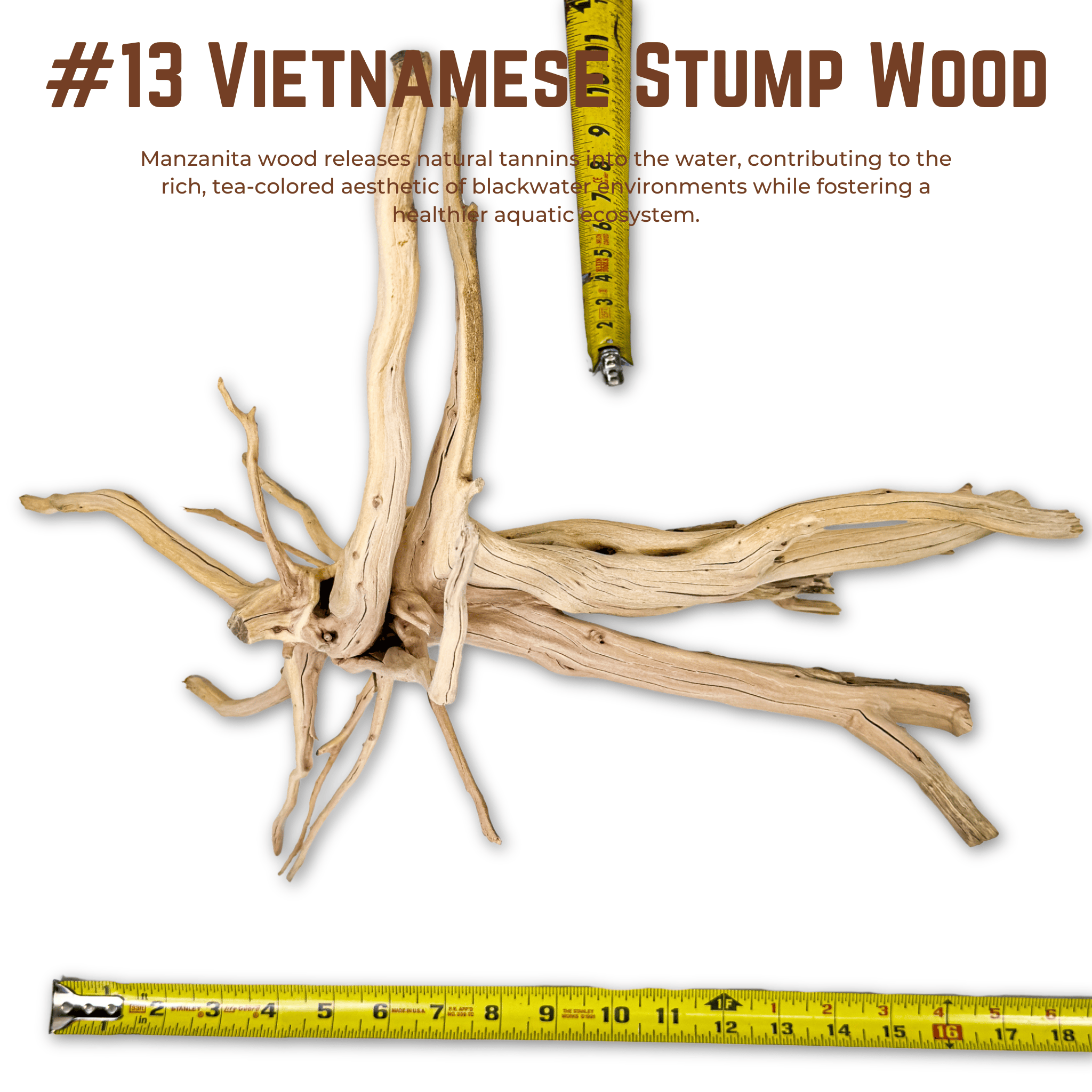Vietnamese Stump Wood | WYSIWYG Pieces