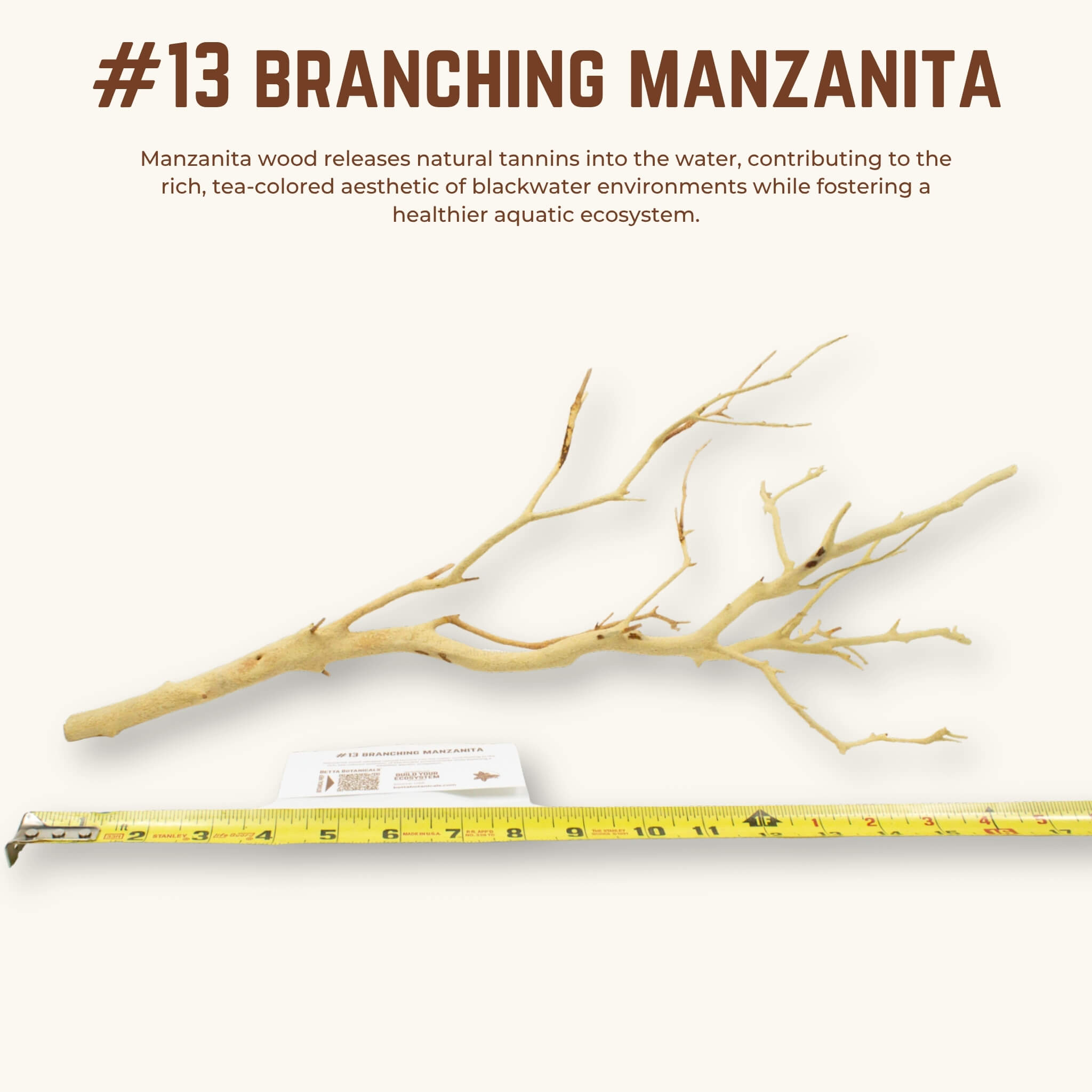 Branching Manzanita | WYSIWYG Pieces