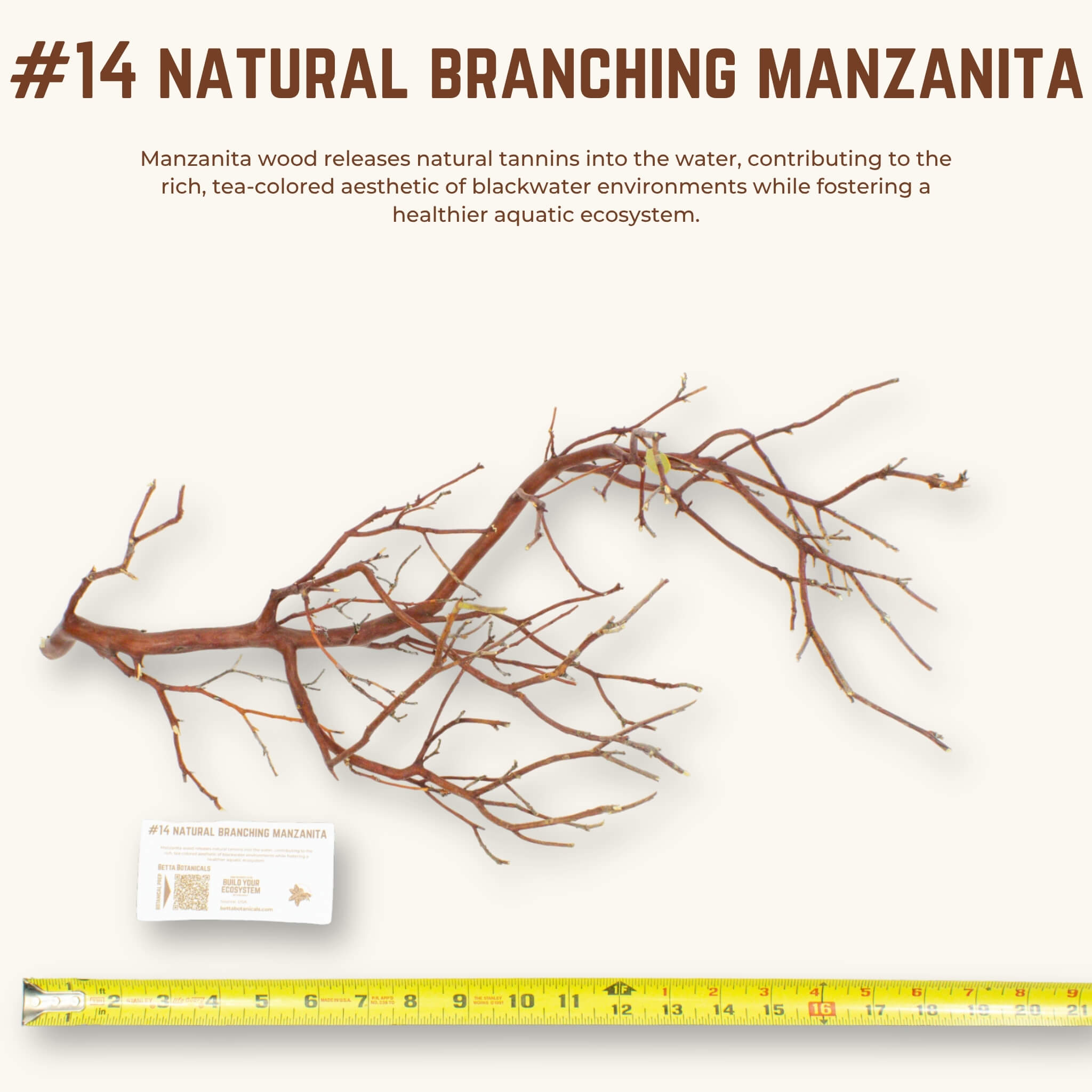 Natural Branching Manzanita | WYSIWYG Pieces