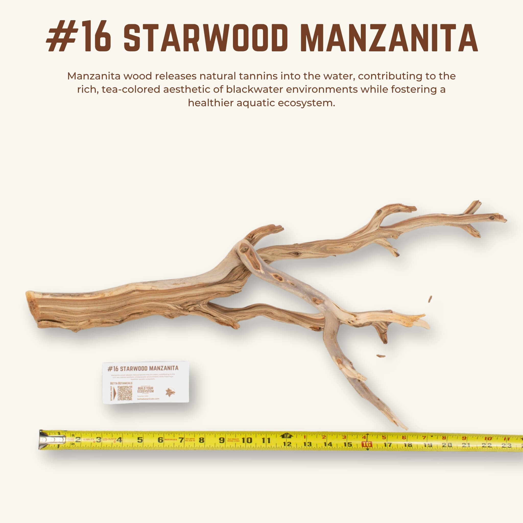 Starwood Manzanita | WYSIWYG Pieces