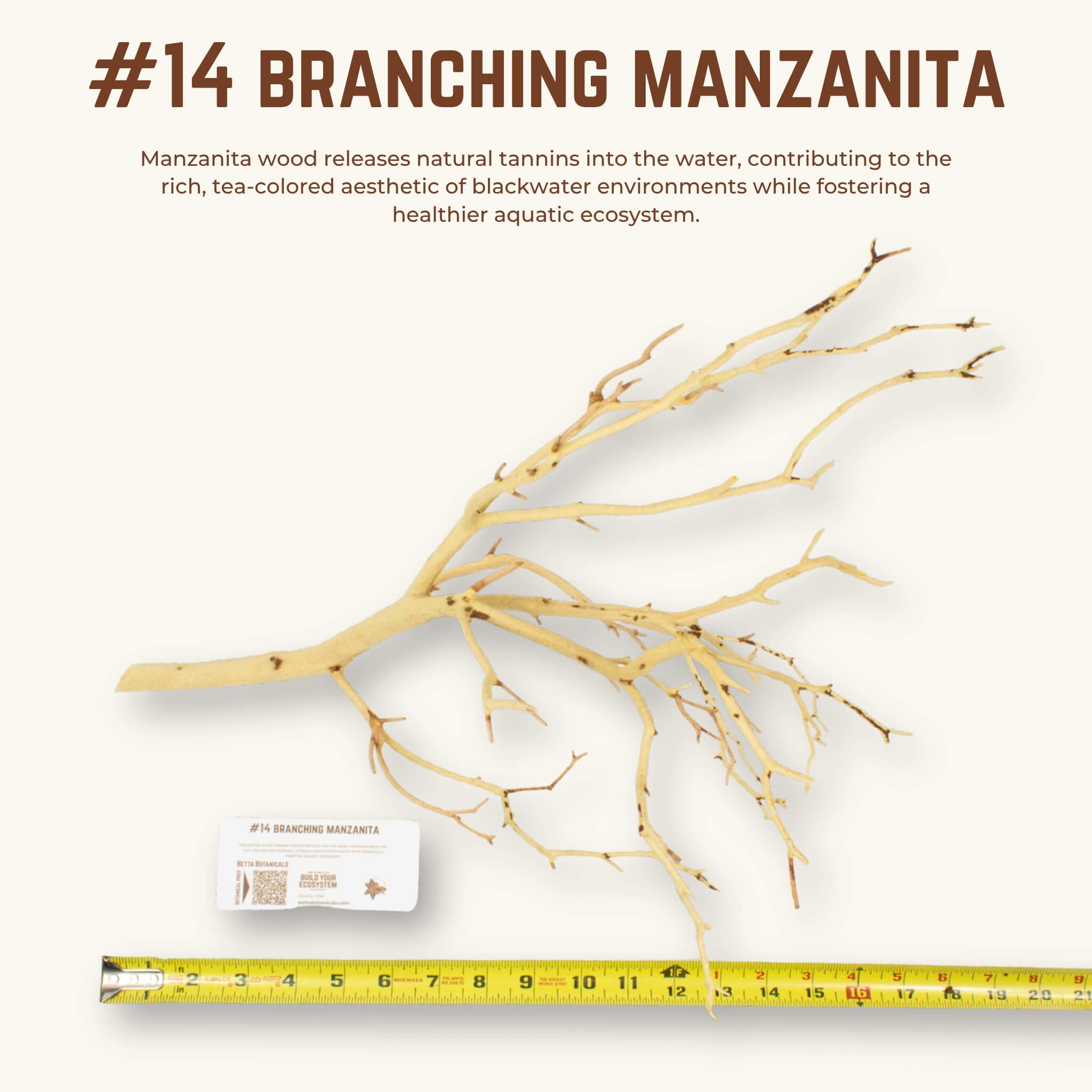 Branching Manzanita | WYSIWYG Pieces