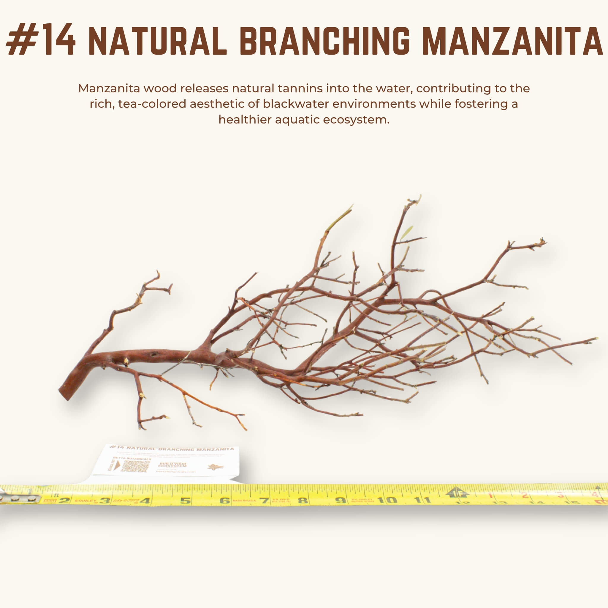 Natural Branching Manzanita | WYSIWYG Pieces