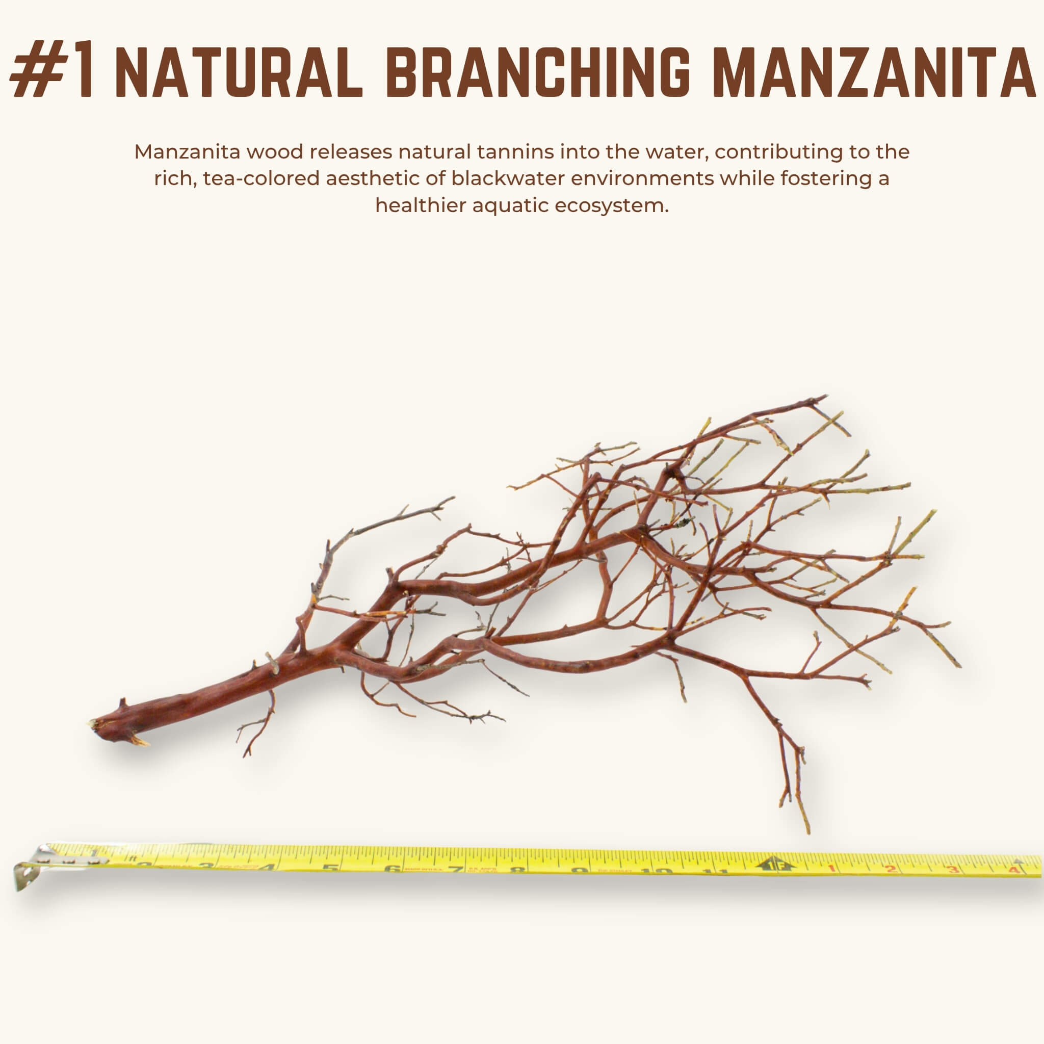 Natural Branching Manzanita | WYSIWYG Pieces