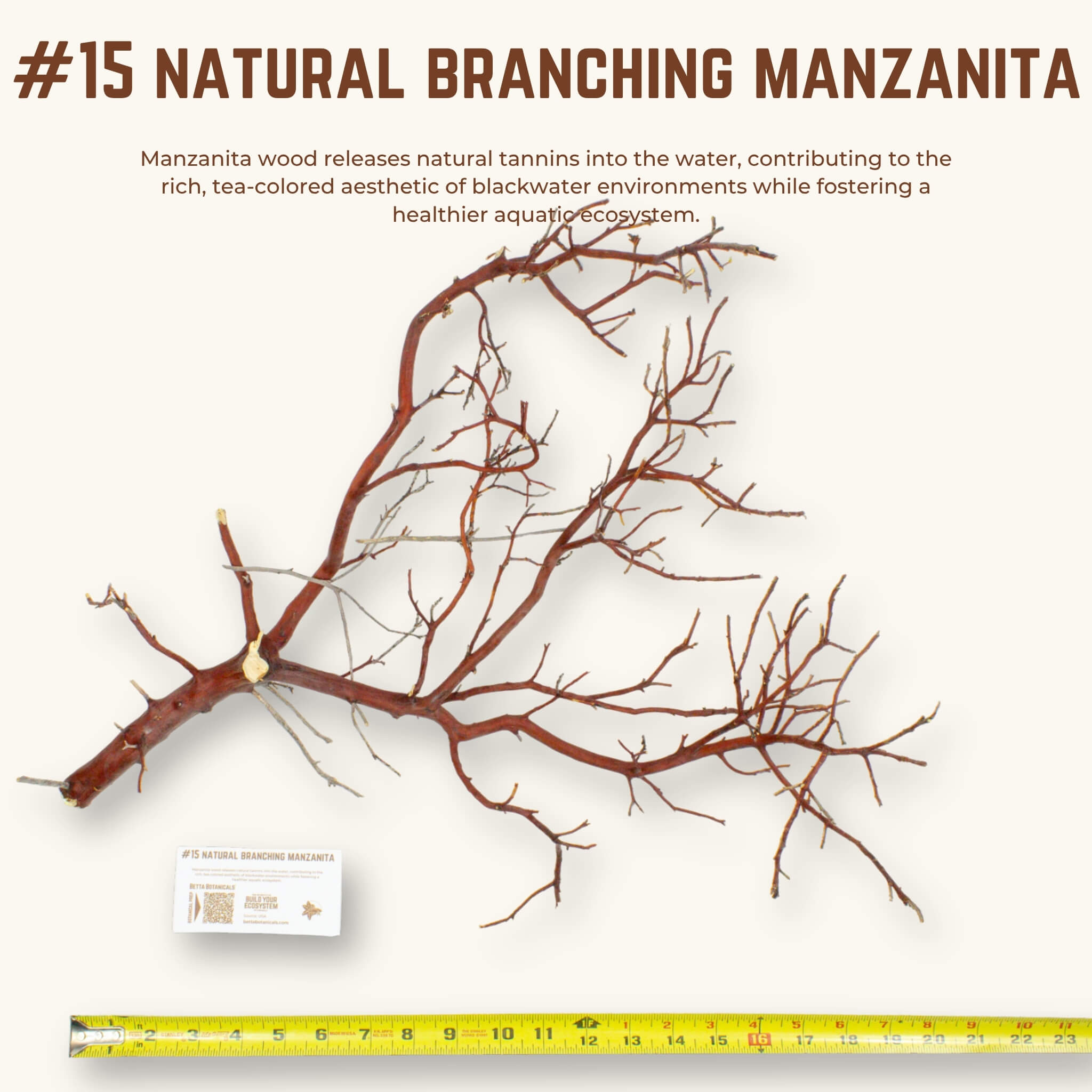 Natural Branching Manzanita | WYSIWYG Pieces