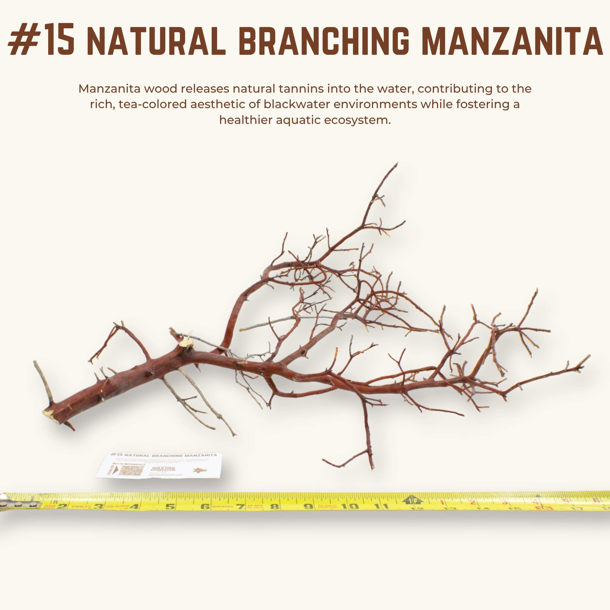 Natural Branching Manzanita | WYSIWYG Pieces