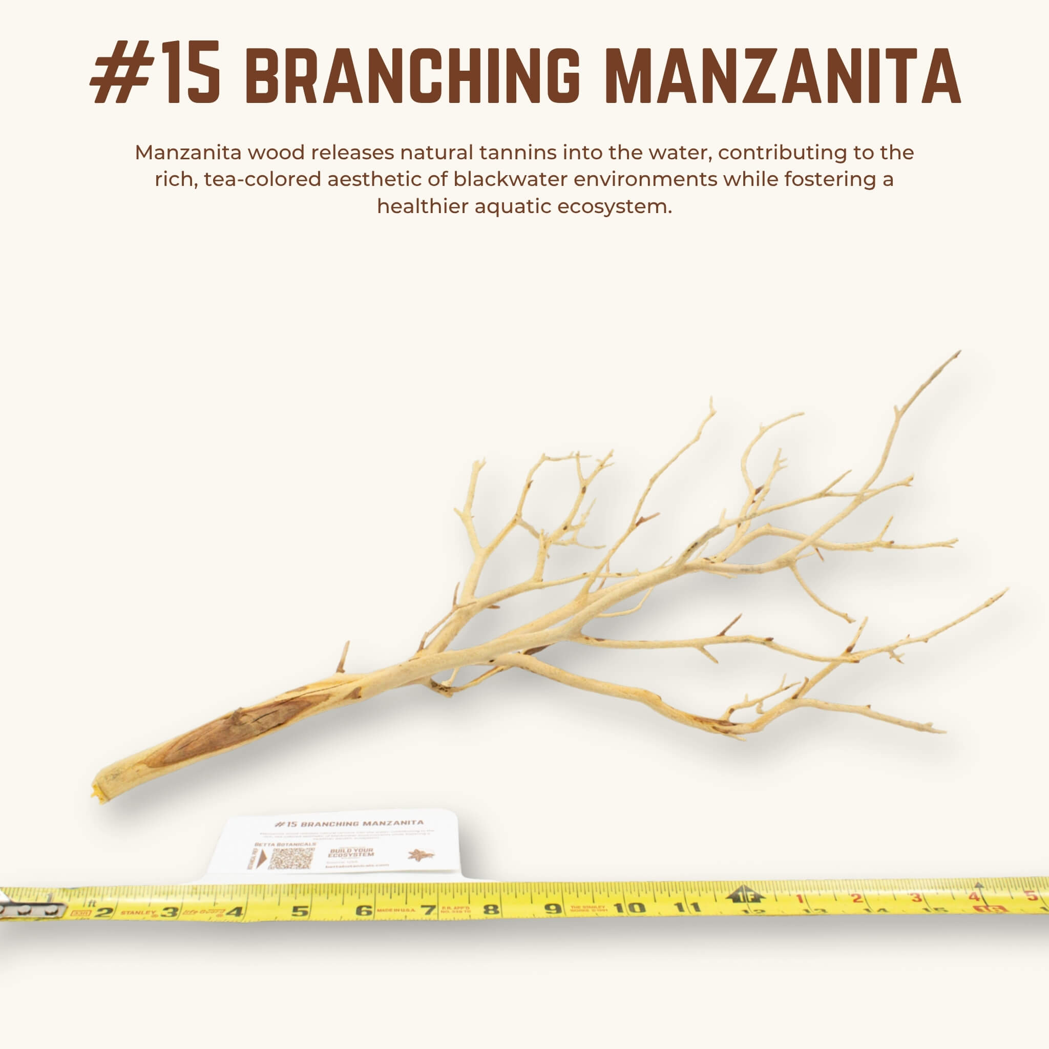 Branching Manzanita | WYSIWYG Pieces