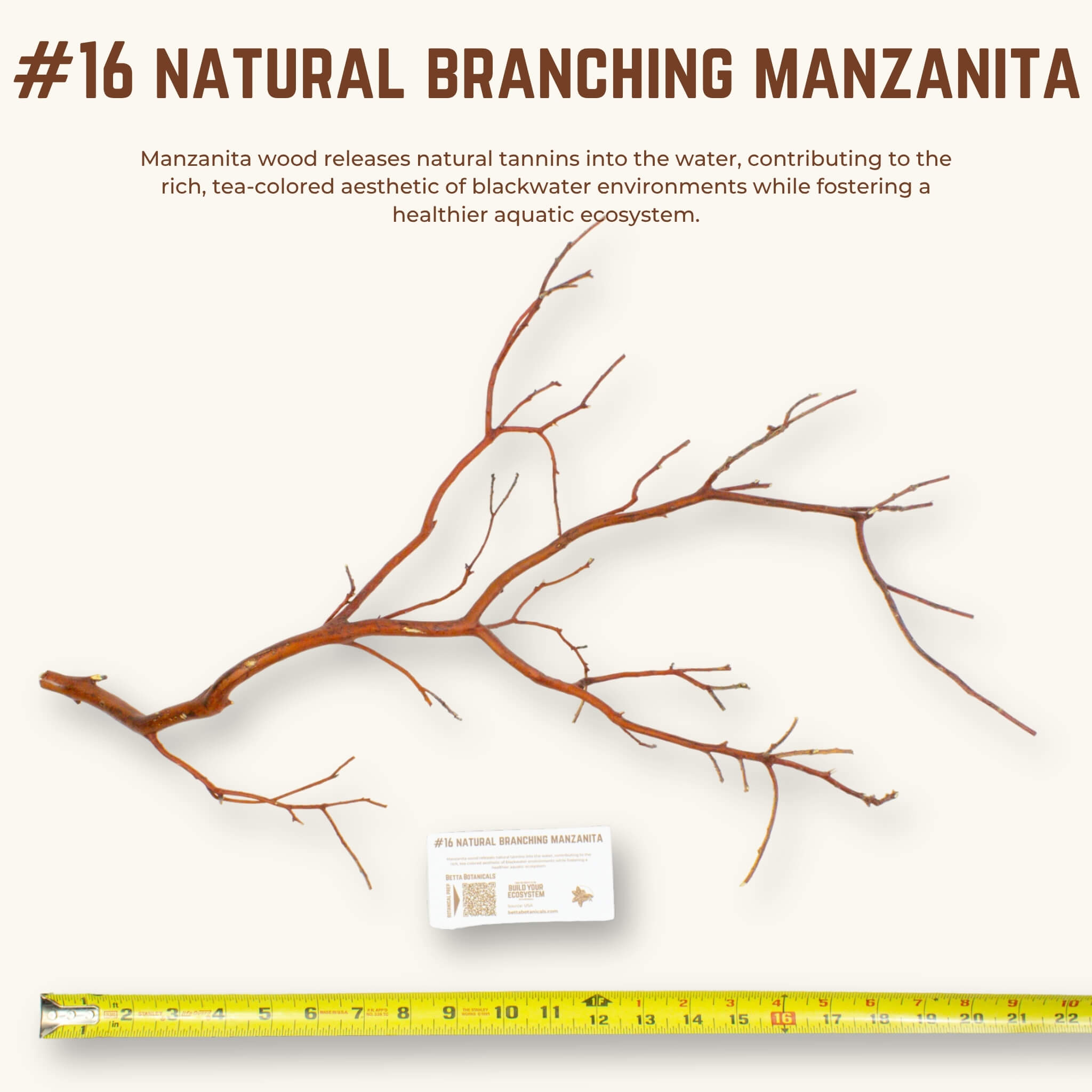 Natural Branching Manzanita | WYSIWYG Pieces