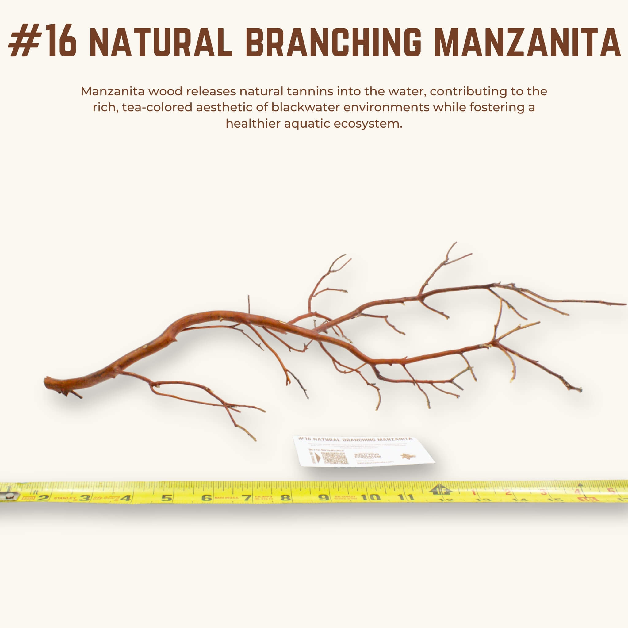 Natural Branching Manzanita | WYSIWYG Pieces
