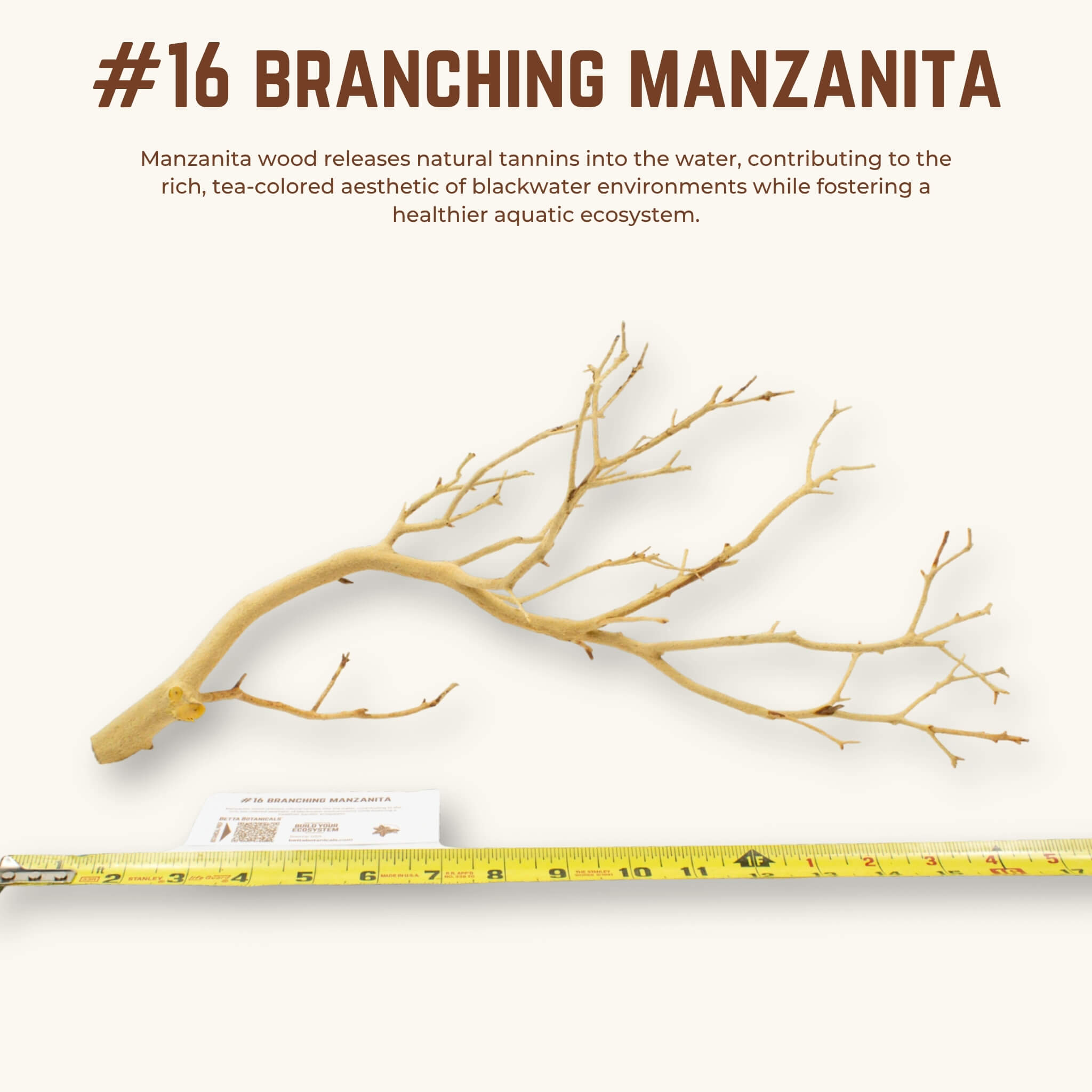 Branching Manzanita | WYSIWYG Pieces