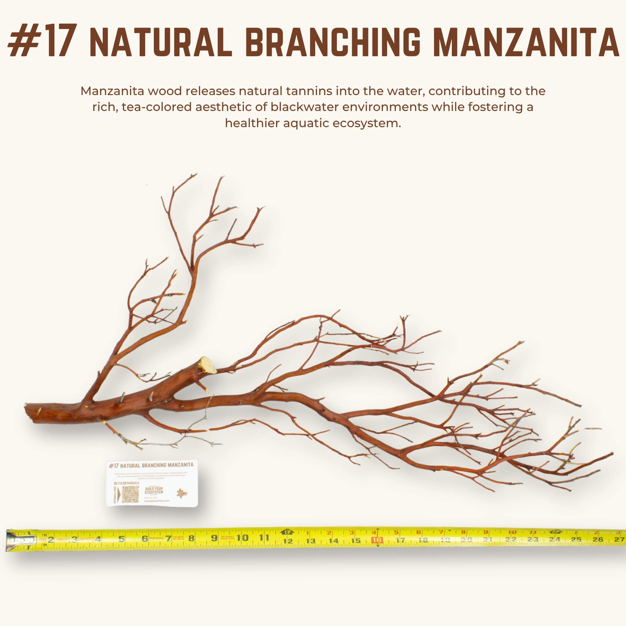 Natural Branching Manzanita | WYSIWYG Pieces