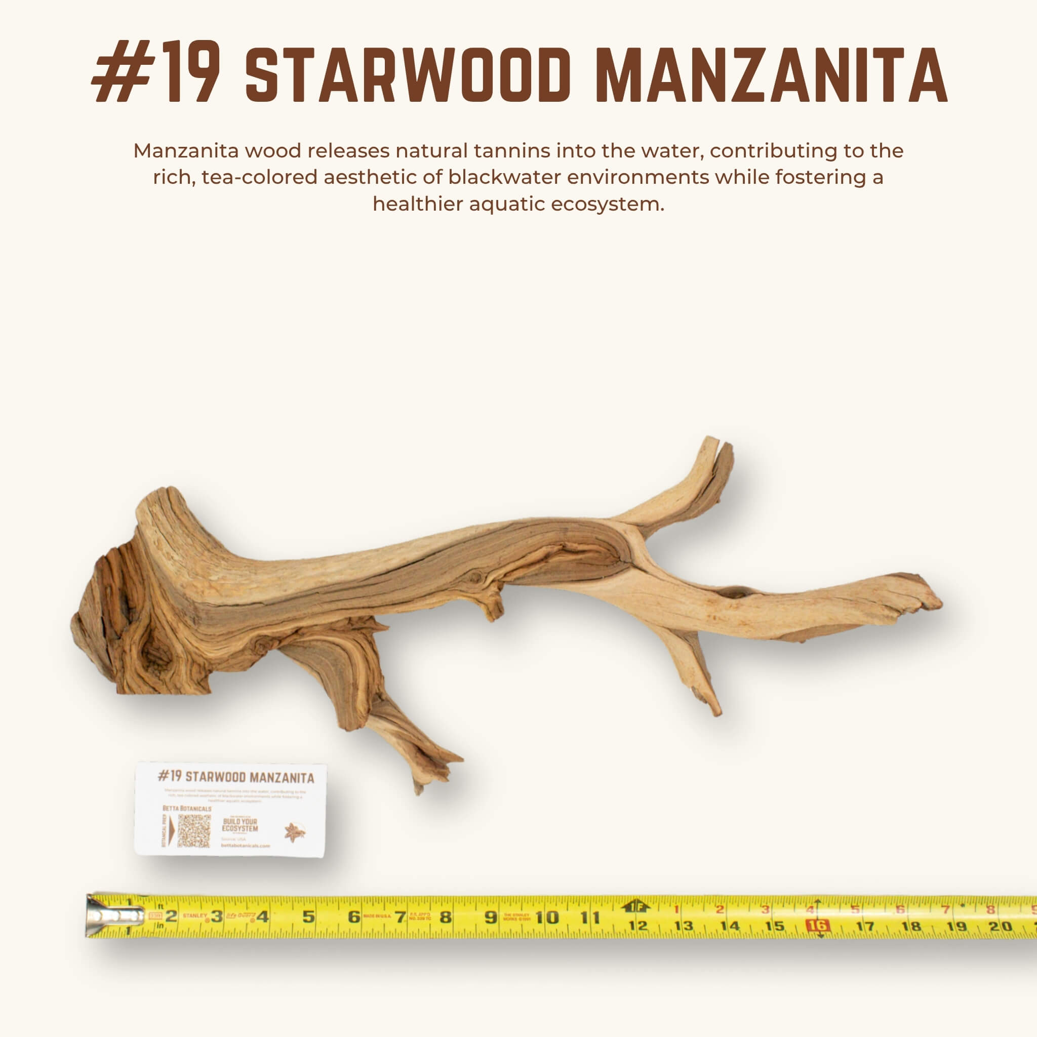 Starwood Manzanita | WYSIWYG Pieces