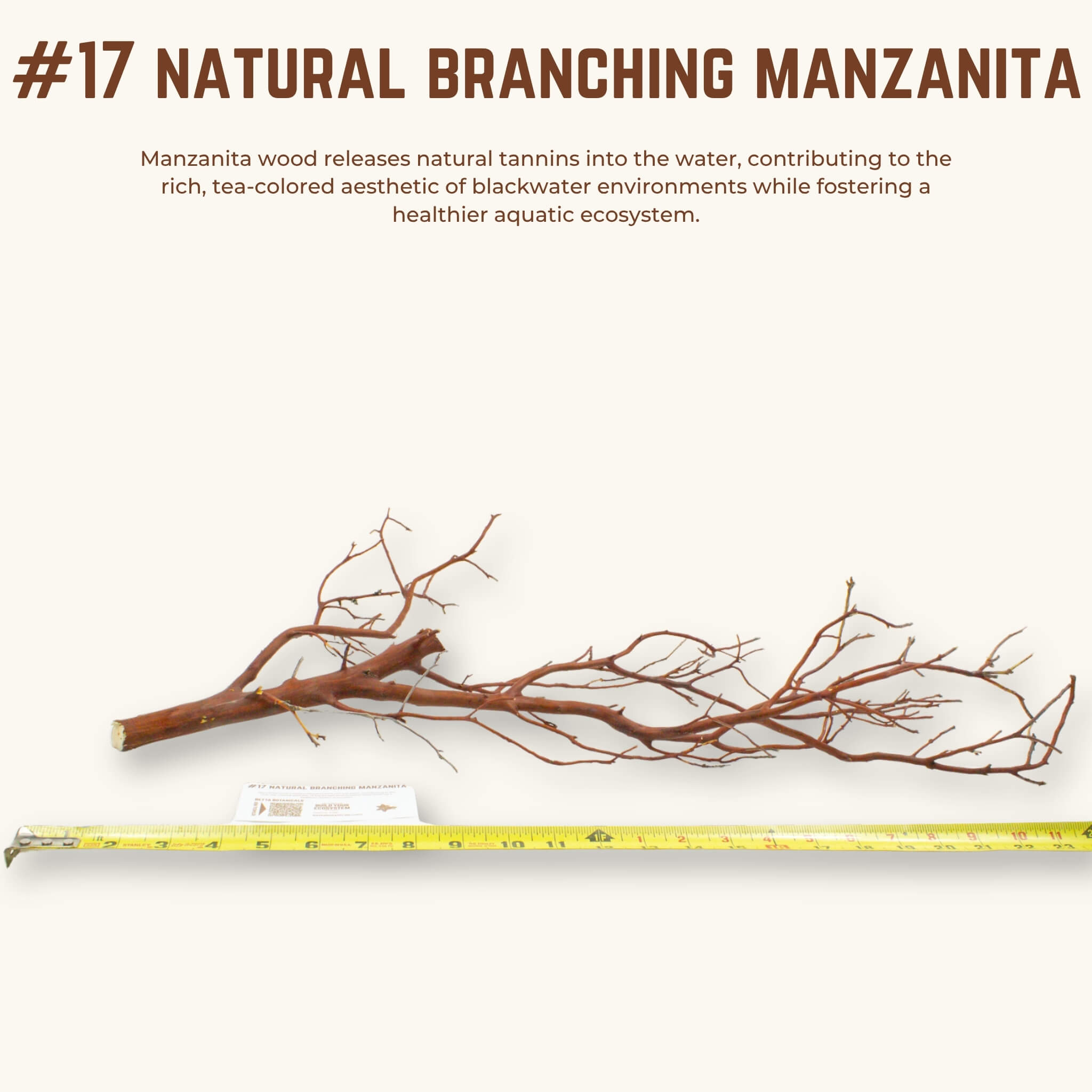 Natural Branching Manzanita | WYSIWYG Pieces