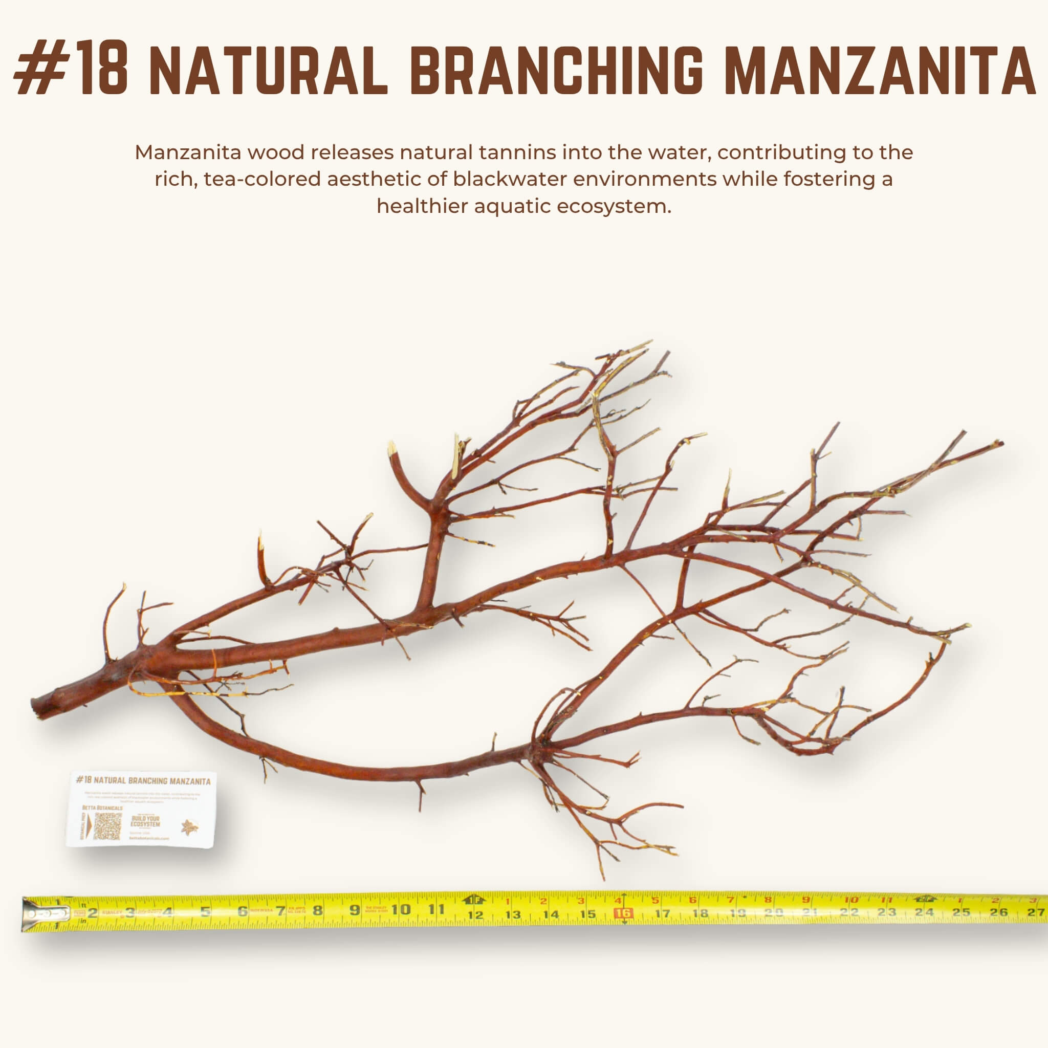 Natural Branching Manzanita | WYSIWYG Pieces