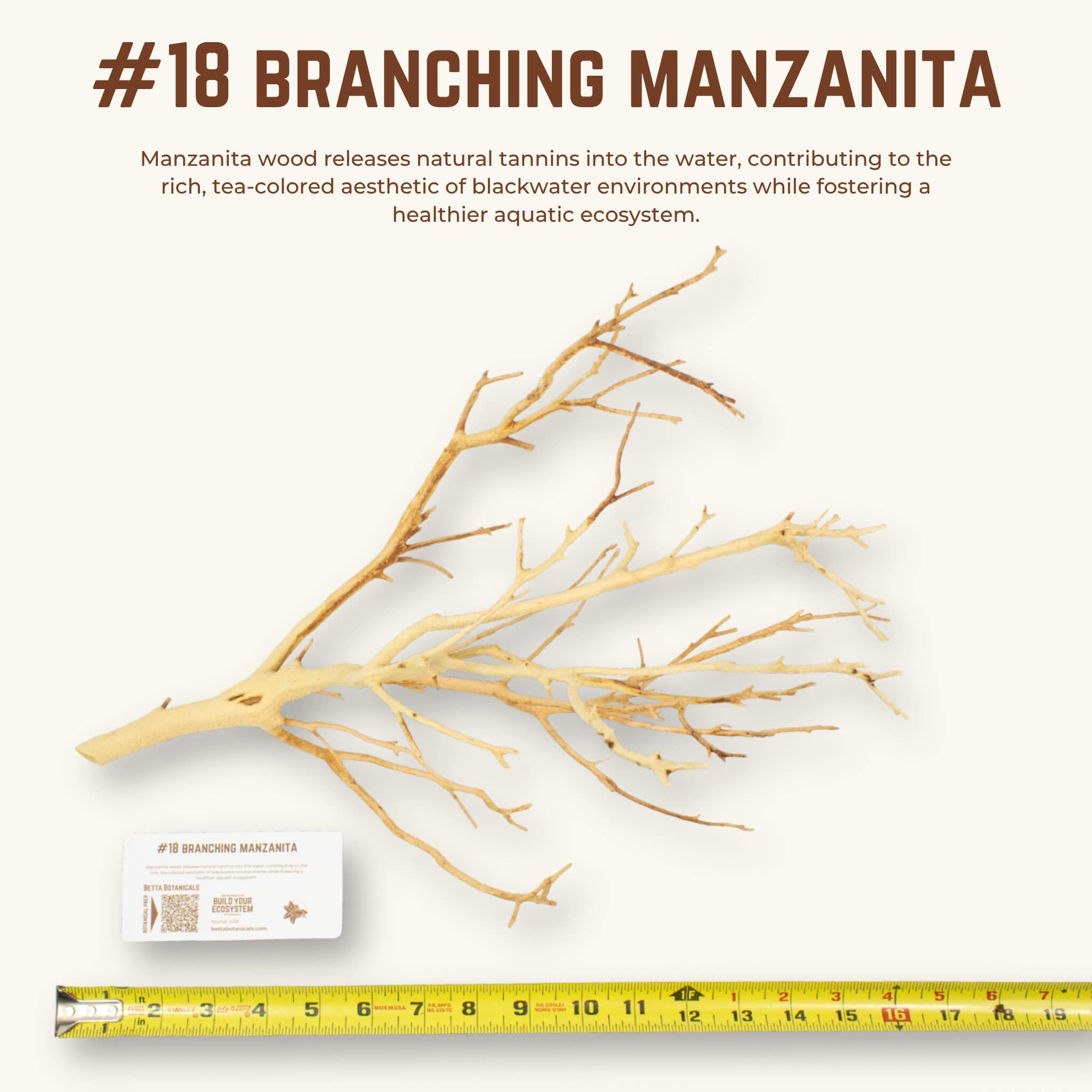 Branching Manzanita | WYSIWYG Pieces